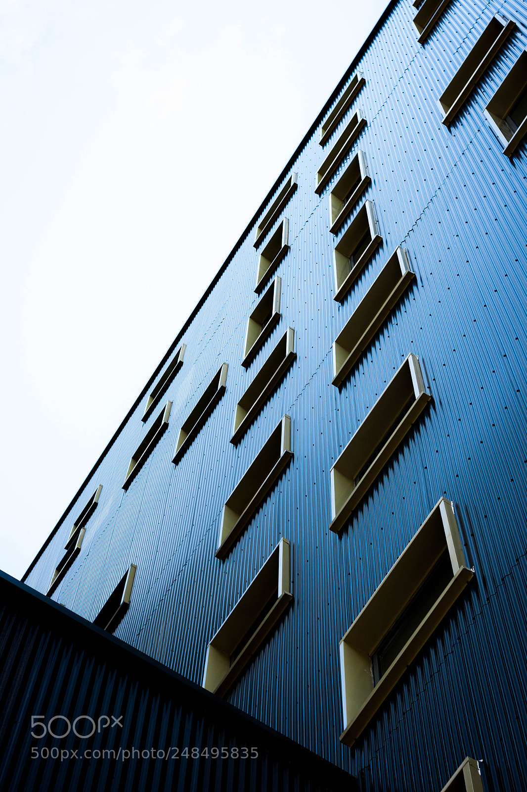 Canon EOS 500D (EOS Rebel T1i / EOS Kiss X3) sample photo. My blue sky photography