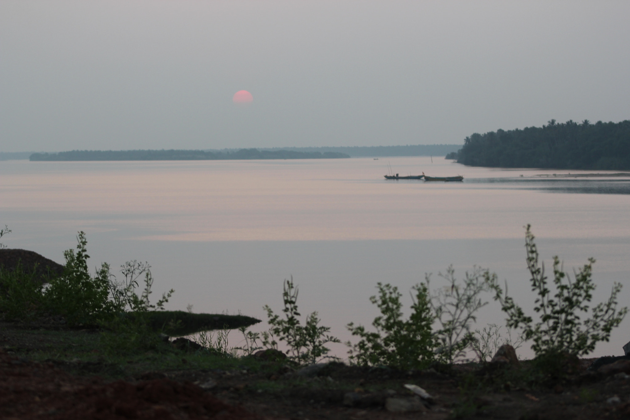 Canon EF 75-300mm f/4-5.6 sample photo. Img photography