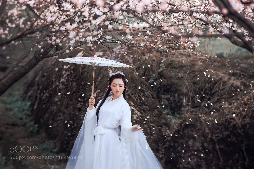 Nikon D810 sample photo. Untitled photography