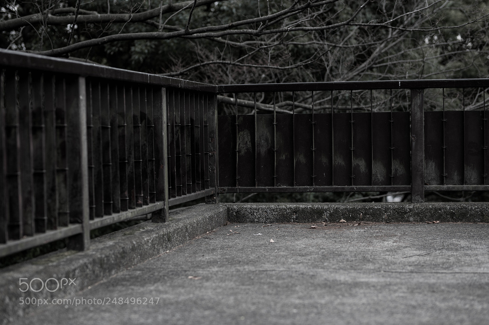 Nikon D850 sample photo. Landing 1 photography