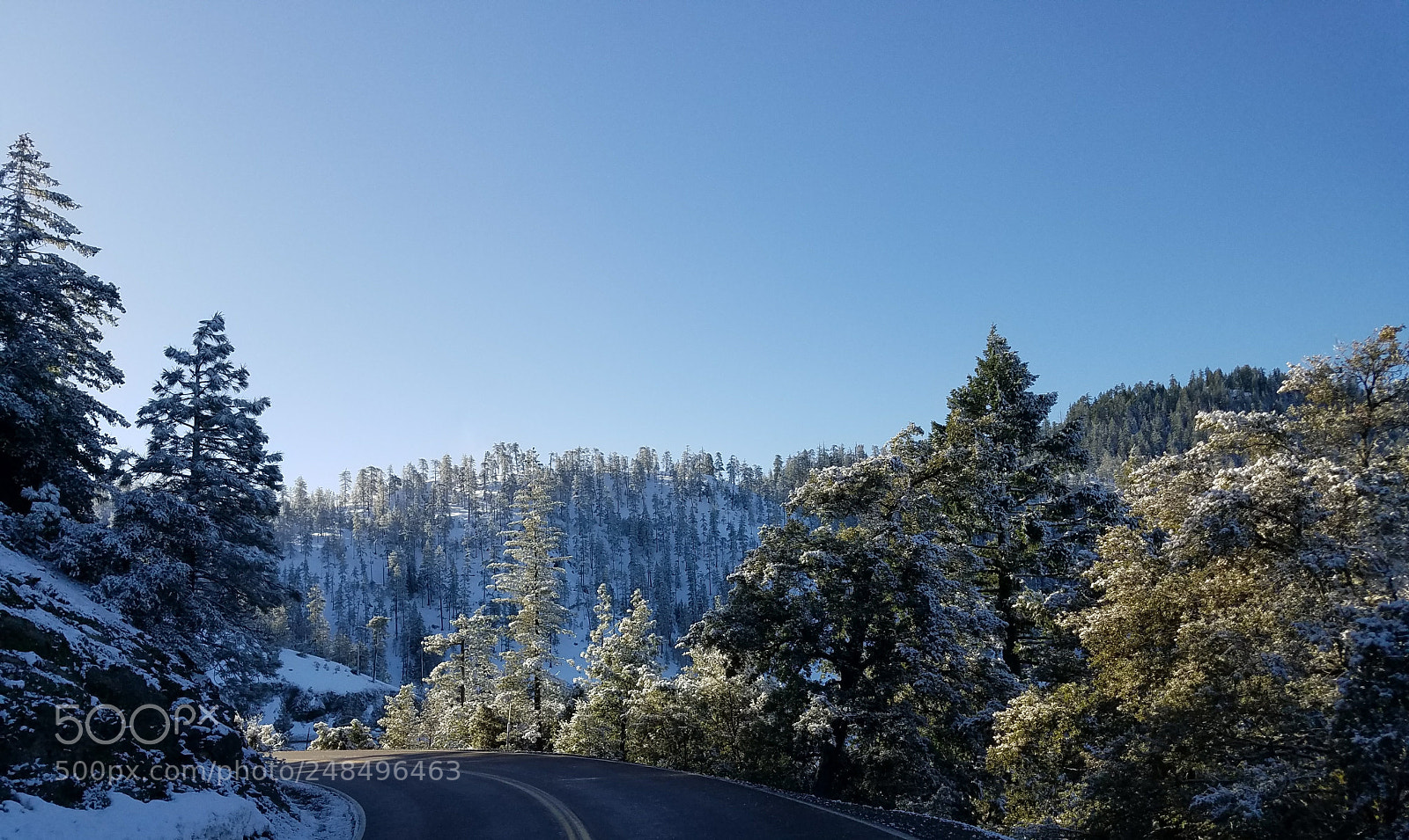 Samsung Galaxy S7 Edge sample photo. Northern california love photography