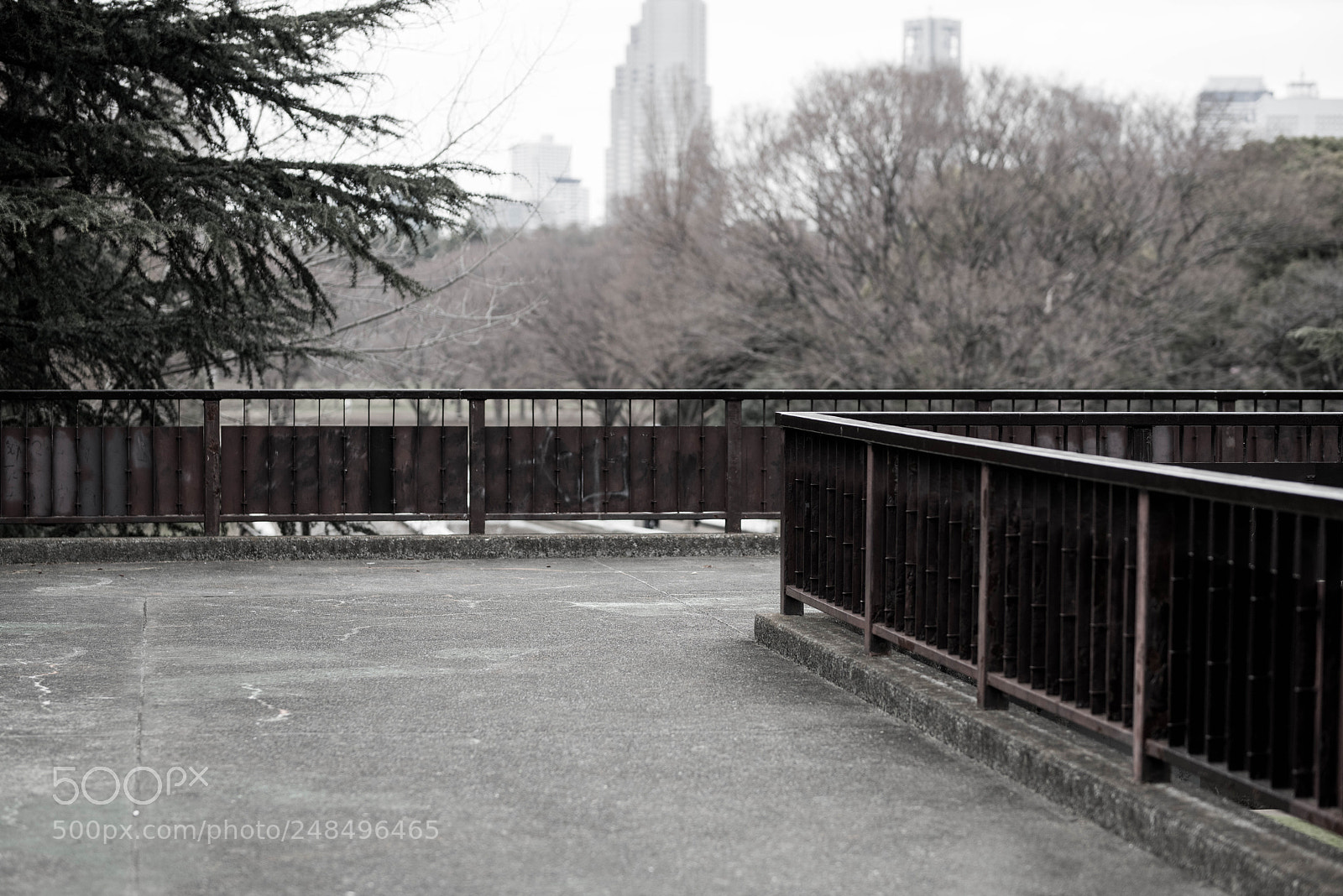 Nikon D850 sample photo. Landing 2 photography