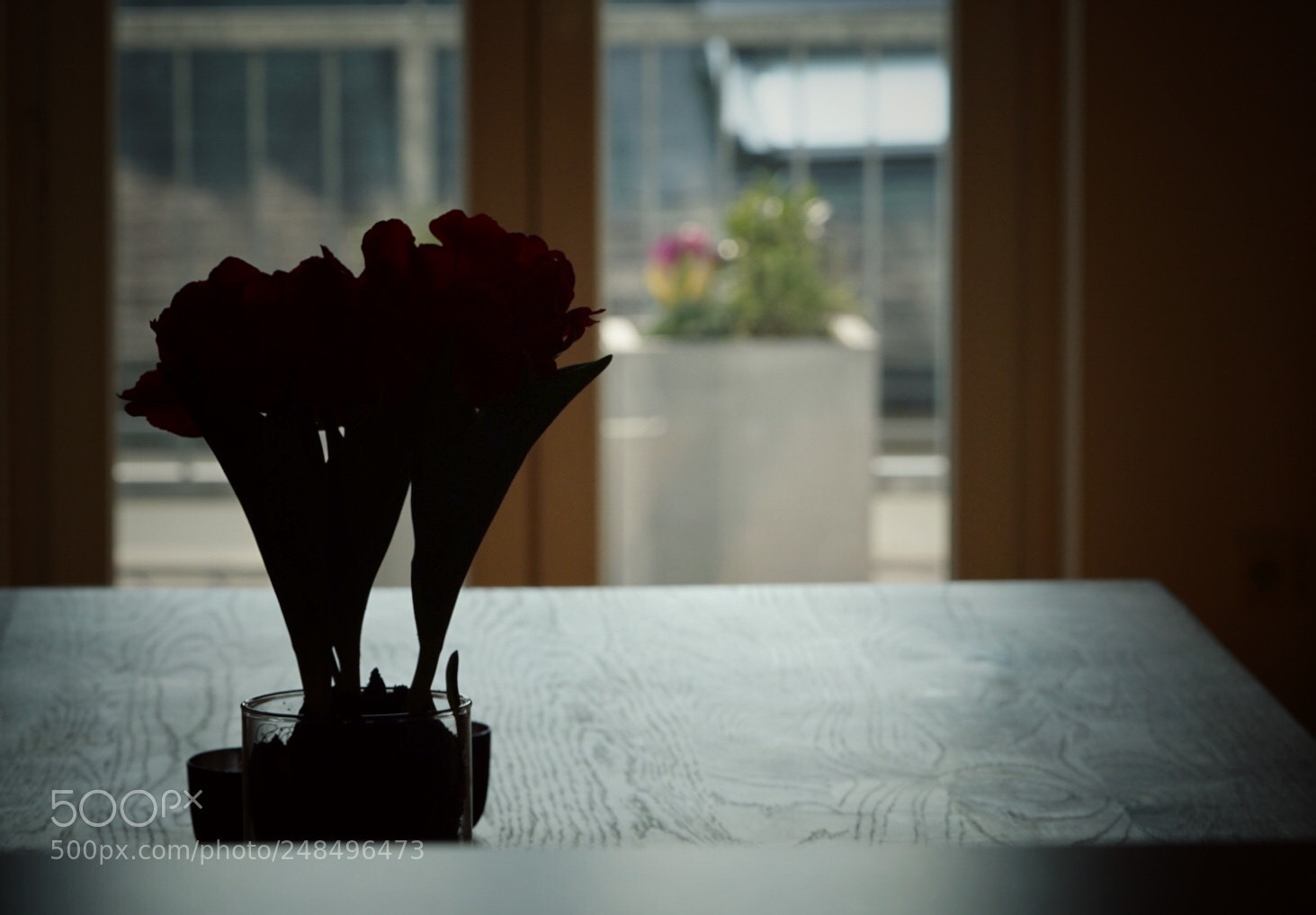 Sony a6000 sample photo. Indoor - outdoor photography