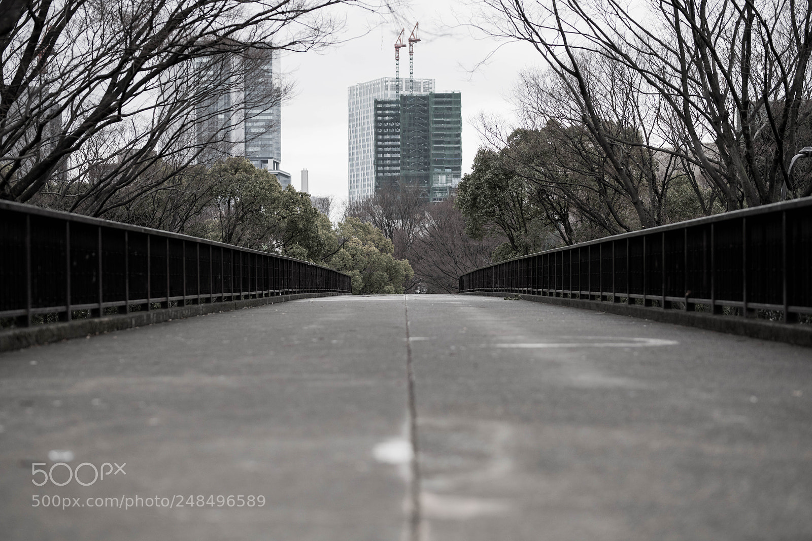 Nikon D850 sample photo. Bridge photography