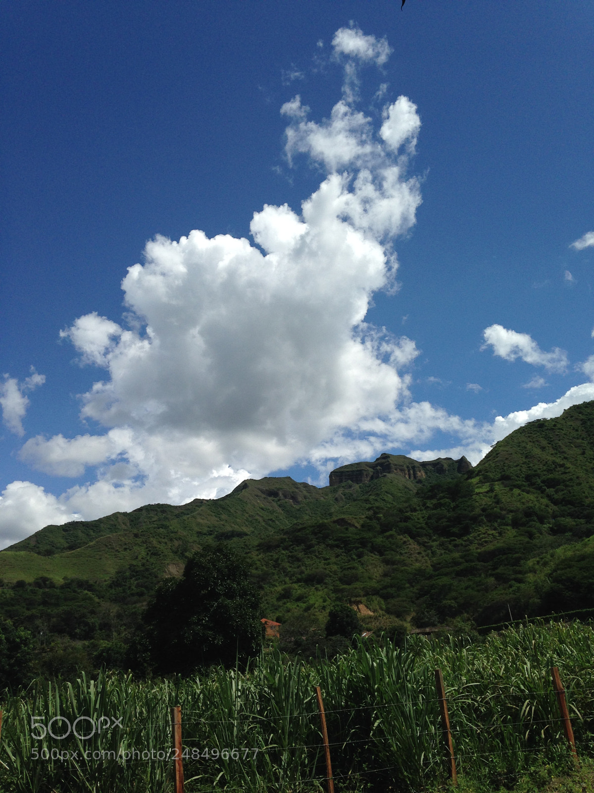 Apple iPhone 5c sample photo. Cielo despejado photography