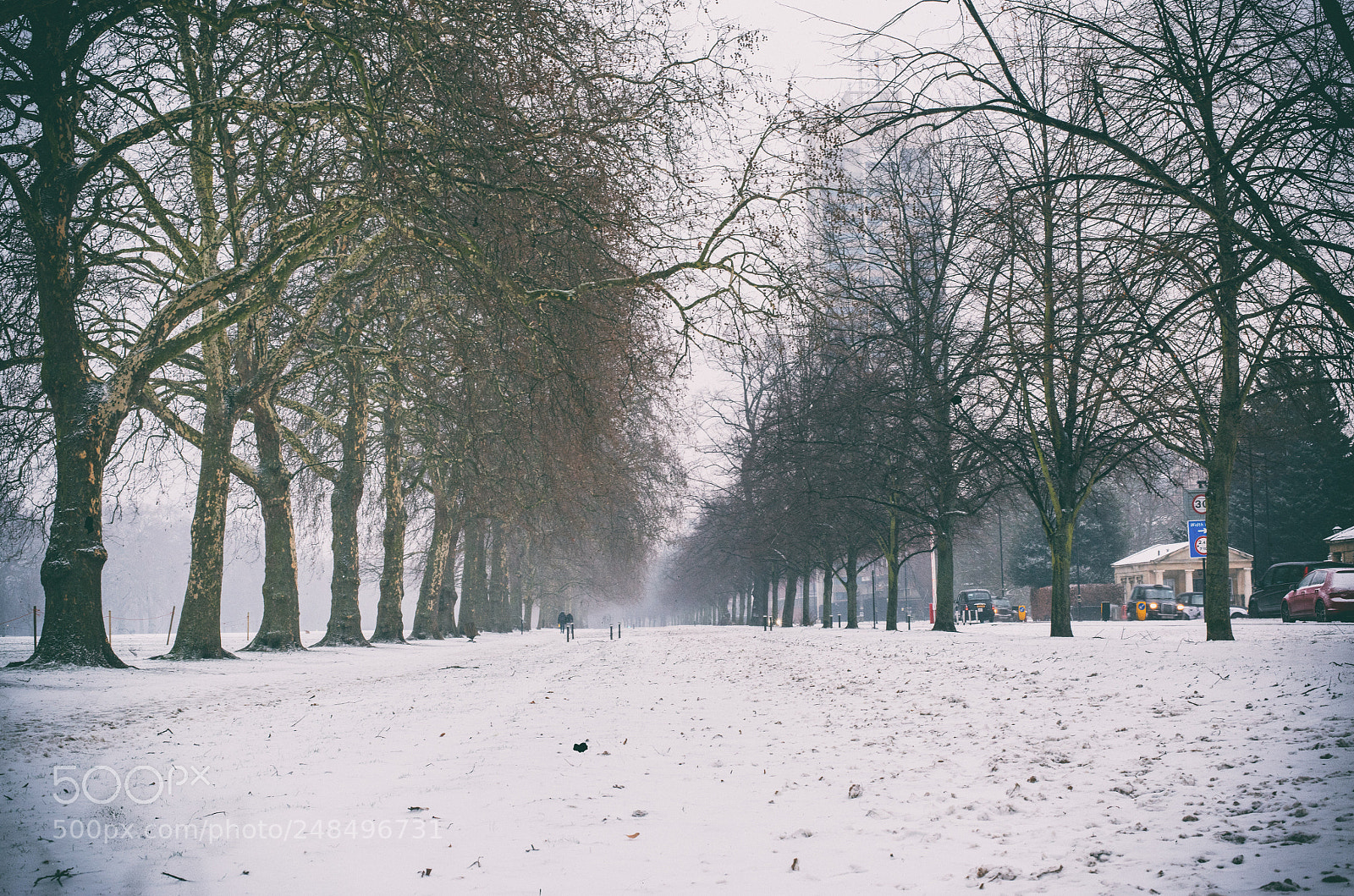 Nikon D810 sample photo. Snowy hyde park photography