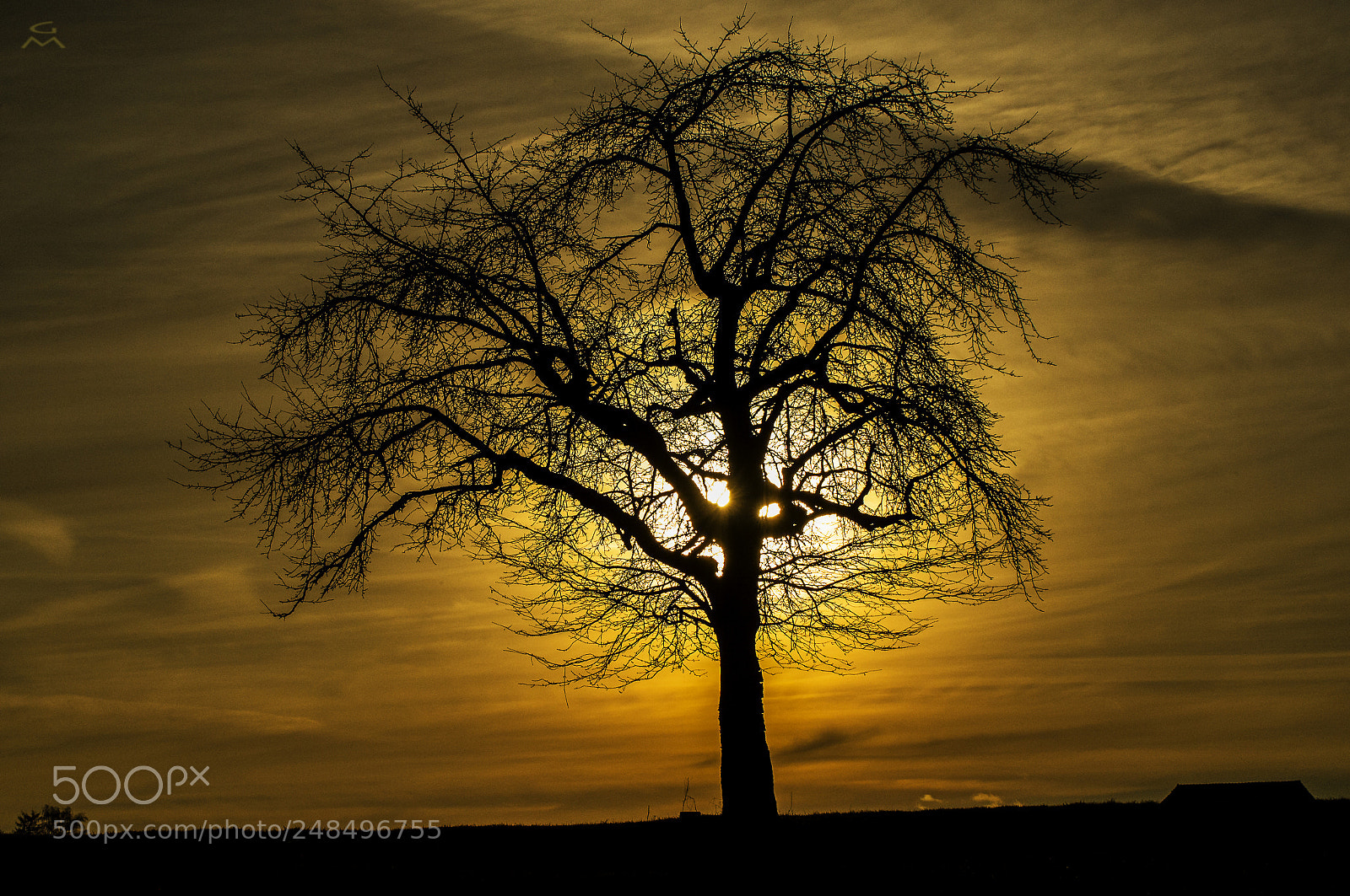 Nikon D4 sample photo. Early spring sunset photography