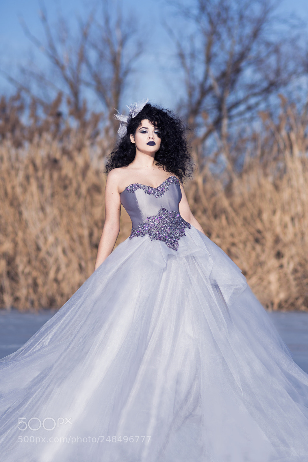 Nikon D7500 sample photo. The ice queen photography