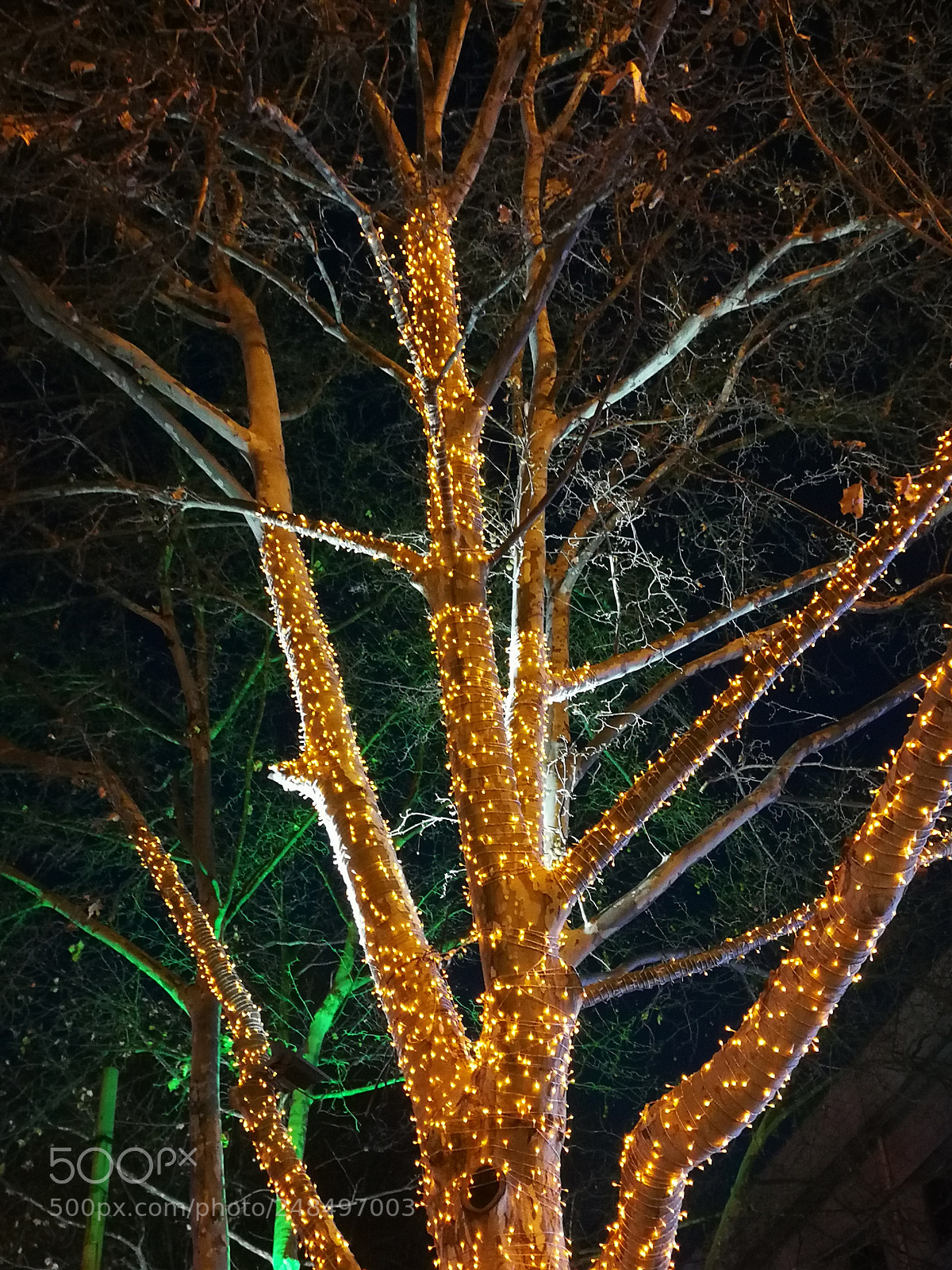 HUAWEI P10 sample photo. Untitled photography