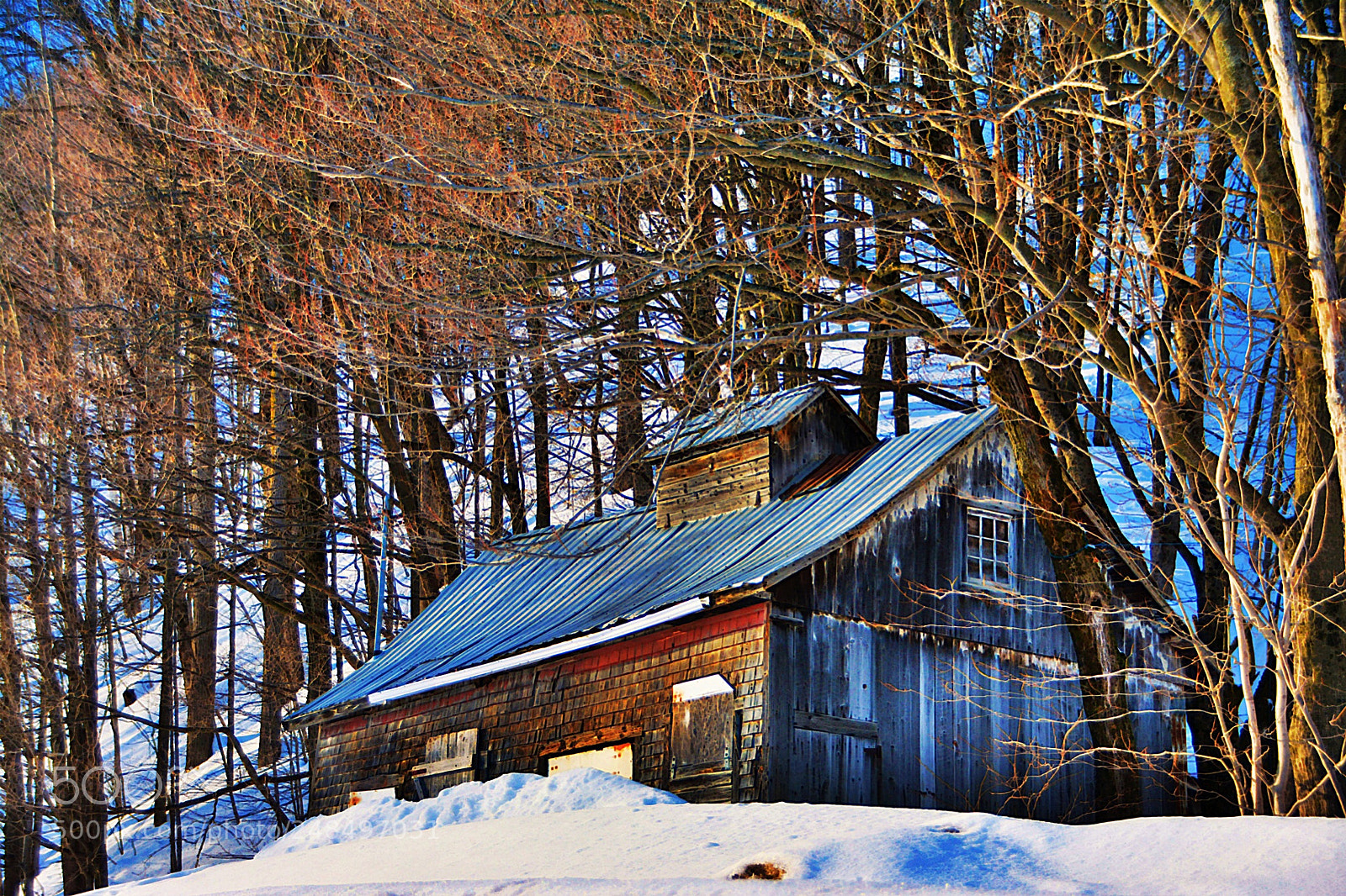 Nikon D7100 sample photo. La cabane photography