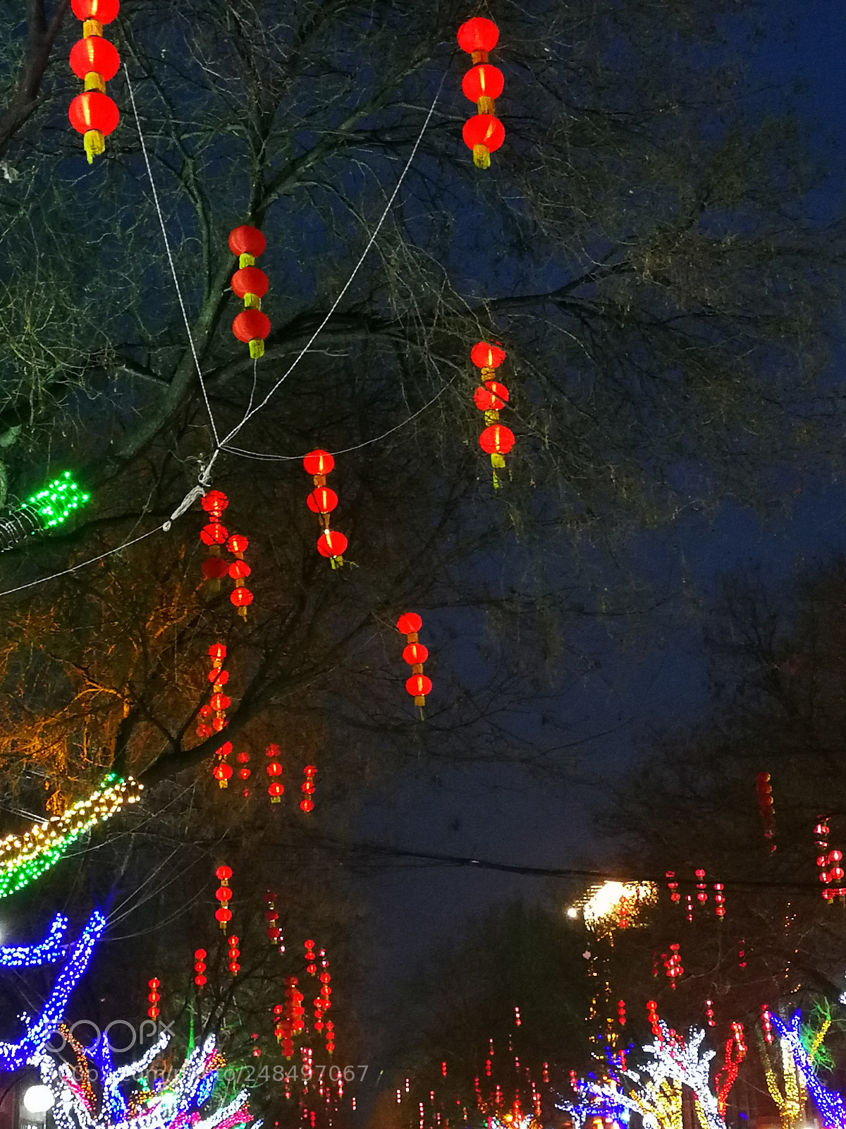 HUAWEI P10 sample photo. Untitled photography