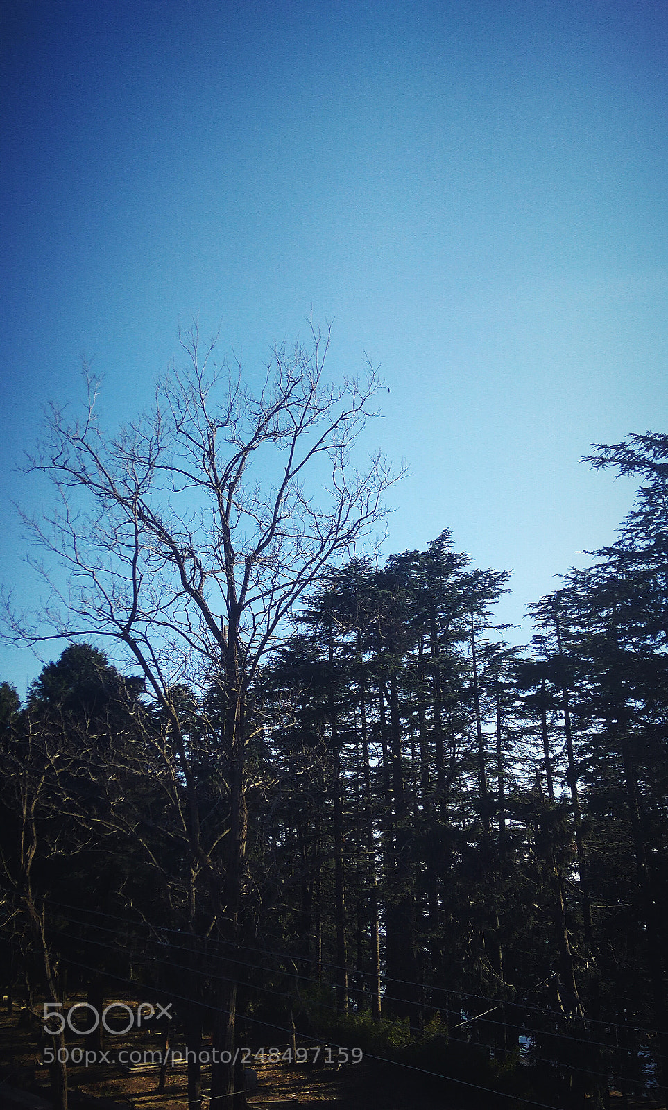 Xiaomi Redmi Note3 sample photo. Untitled photography