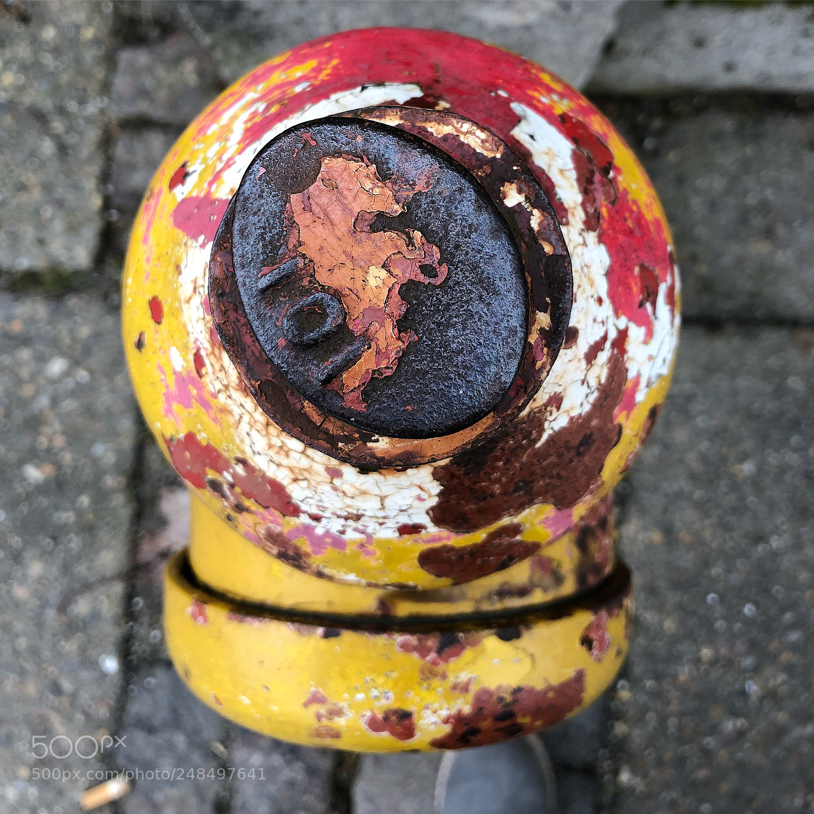 Apple iPhone 8 Plus sample photo. Helleajensen brandhane firehydrant hydrant photography