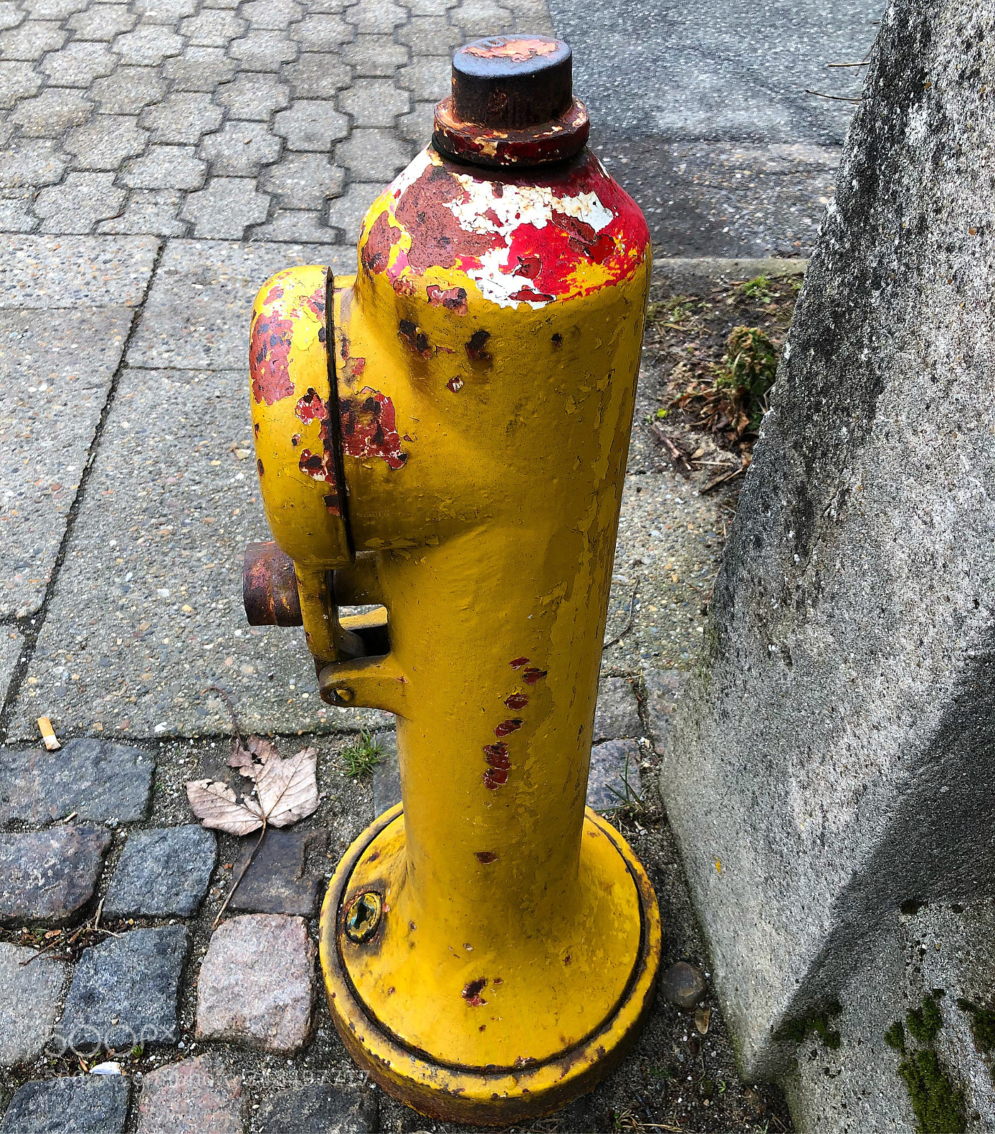 Apple iPhone 8 Plus sample photo. Helleajensen brandhane firehydrant hydrant photography