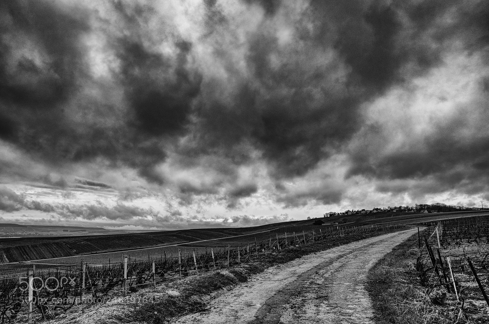 Pentax K-1 sample photo. On a road photography