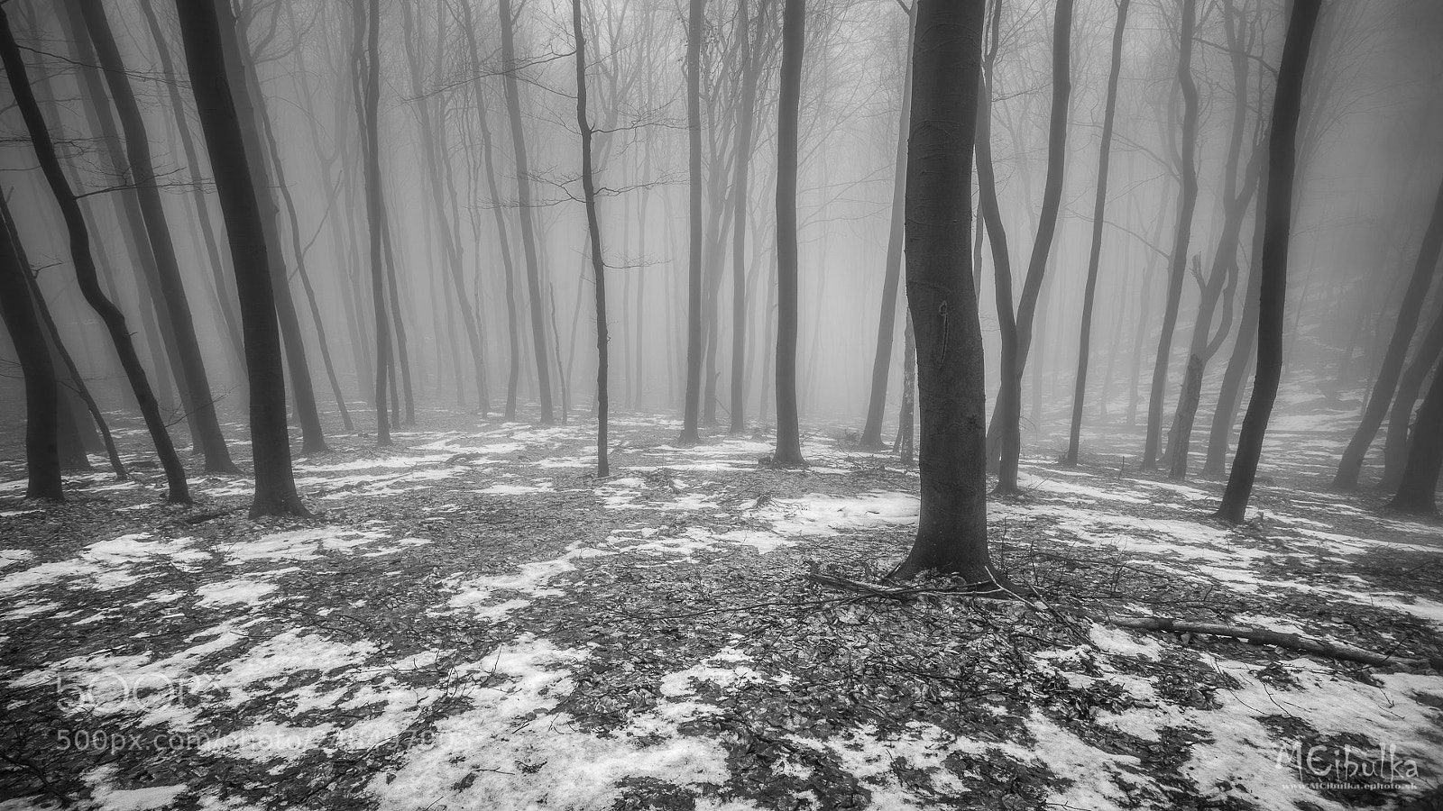 Sony a7R sample photo. Fog photography