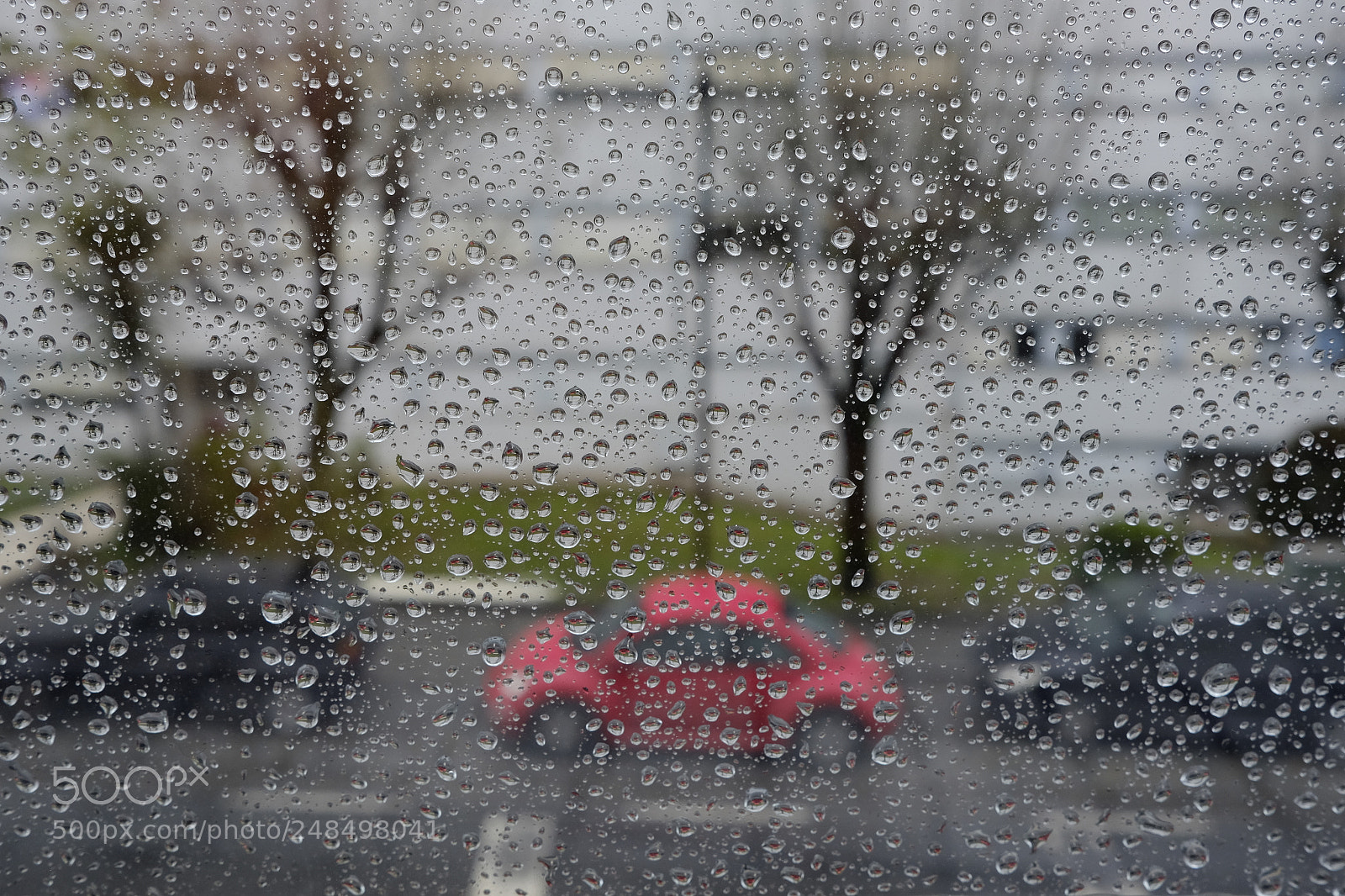 Fujifilm X-T10 sample photo. The beetle and the photography