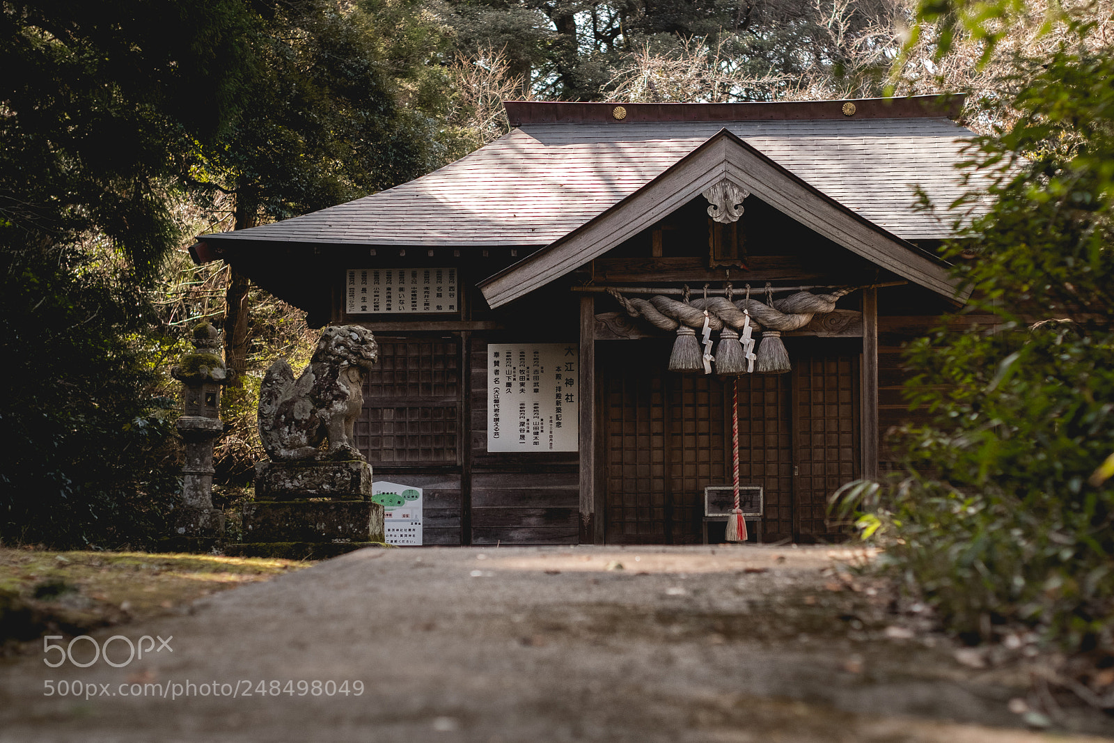 Fujifilm X-Pro2 sample photo. Hidden shrine photography