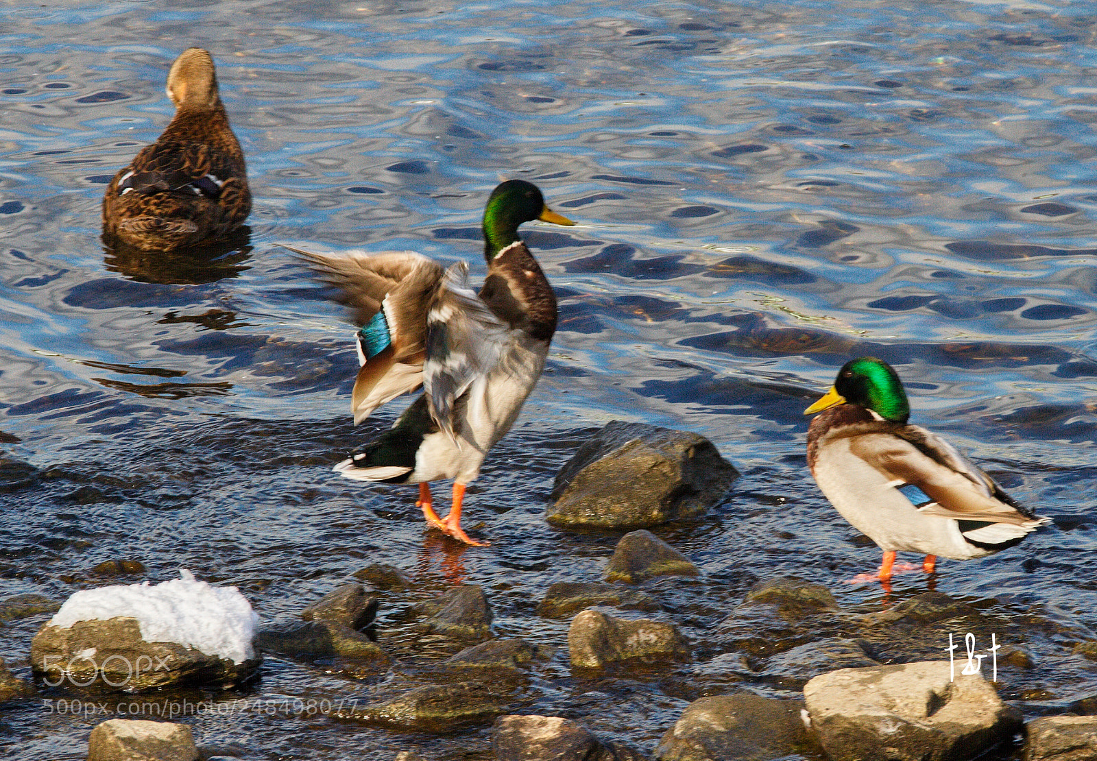 Canon EOS 7D sample photo. Untitled photography