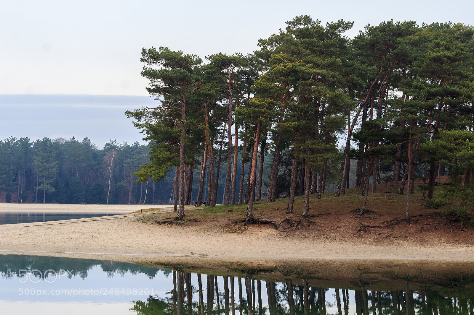 Canon EOS 1300D (EOS Rebel T6 / EOS Kiss X80) sample photo. Island on henschotermeer photography