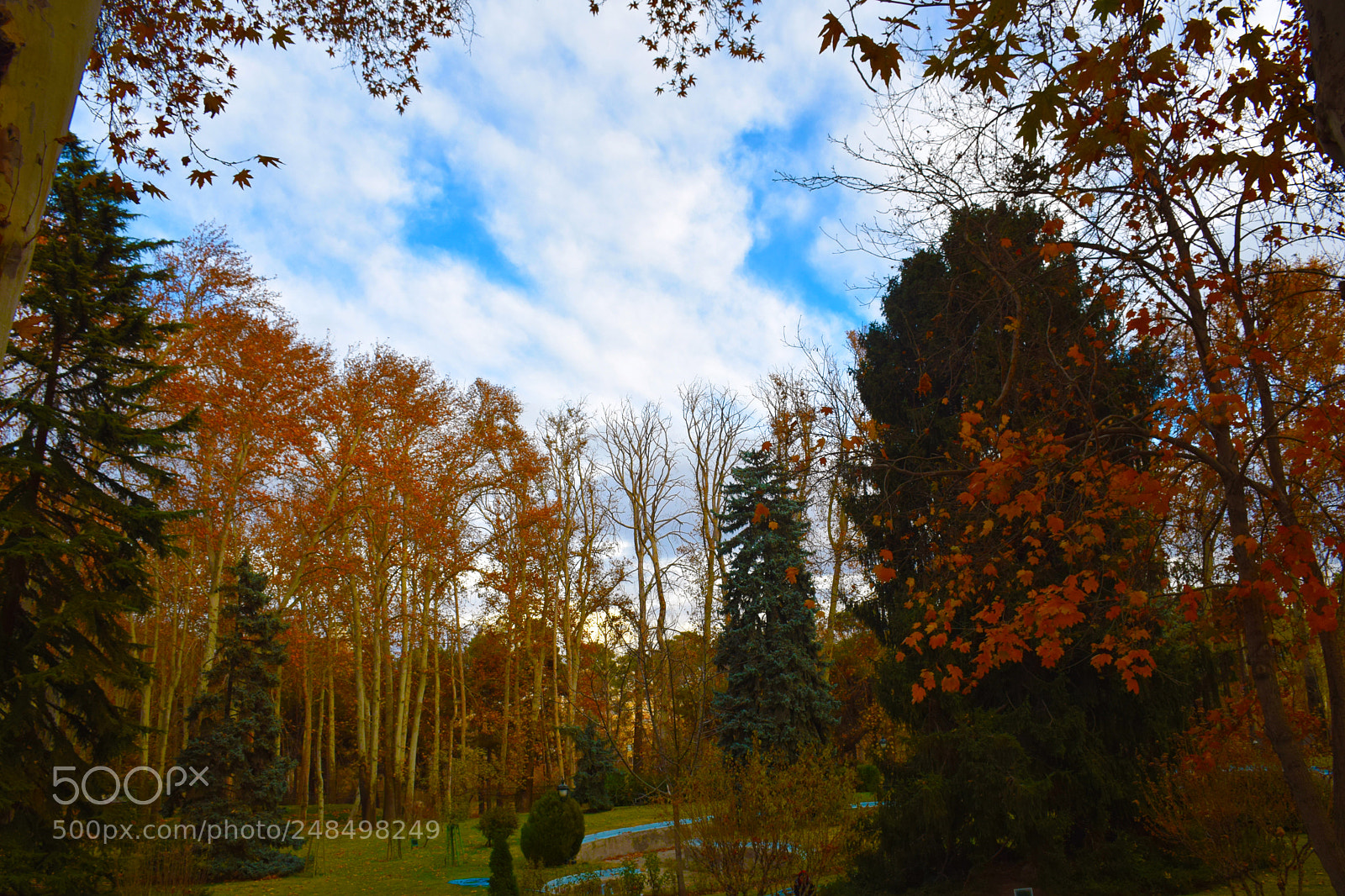 Nikon D5300 sample photo. Autumn photography
