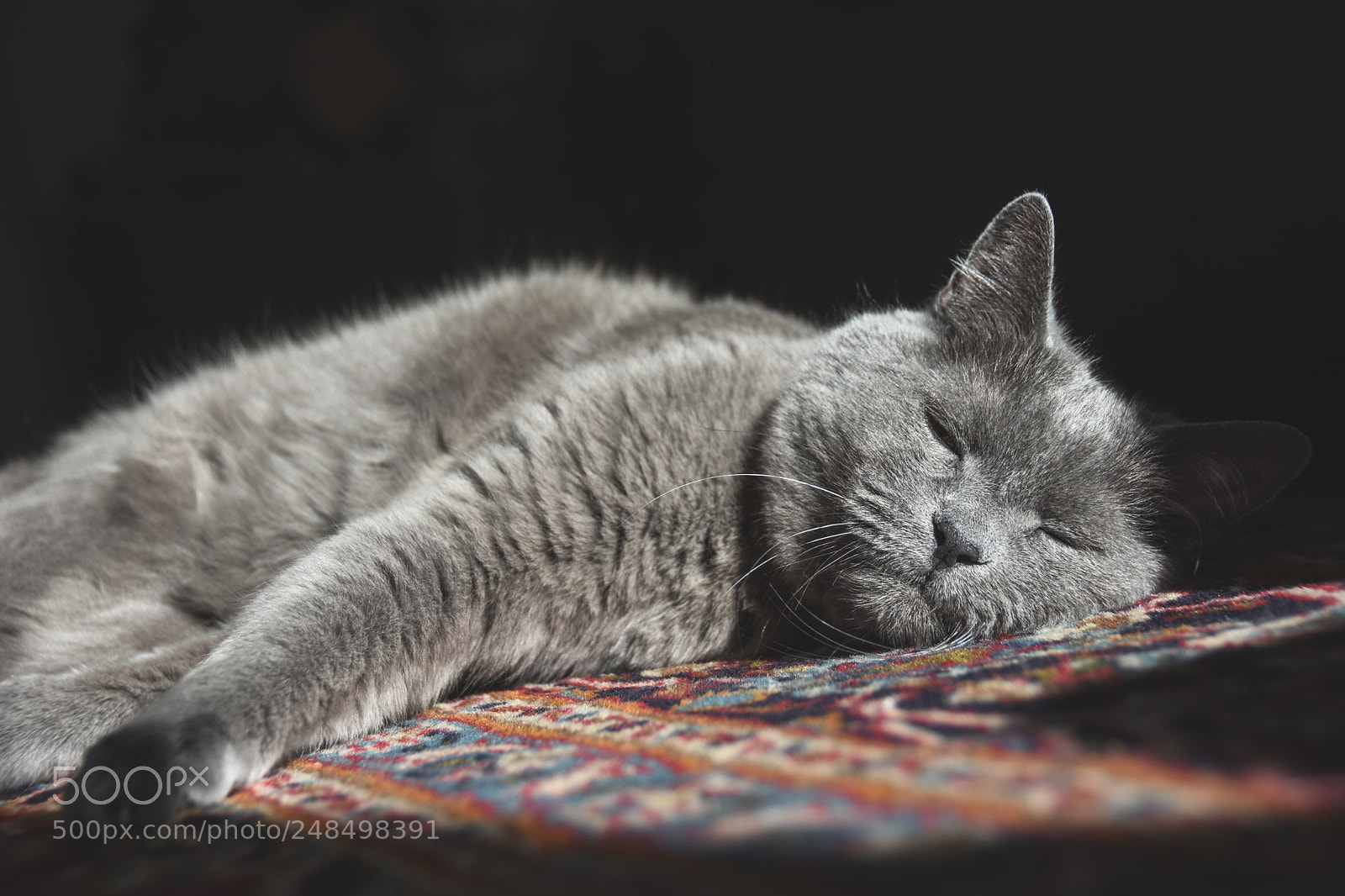 Nikon D7200 sample photo. Untitled photography