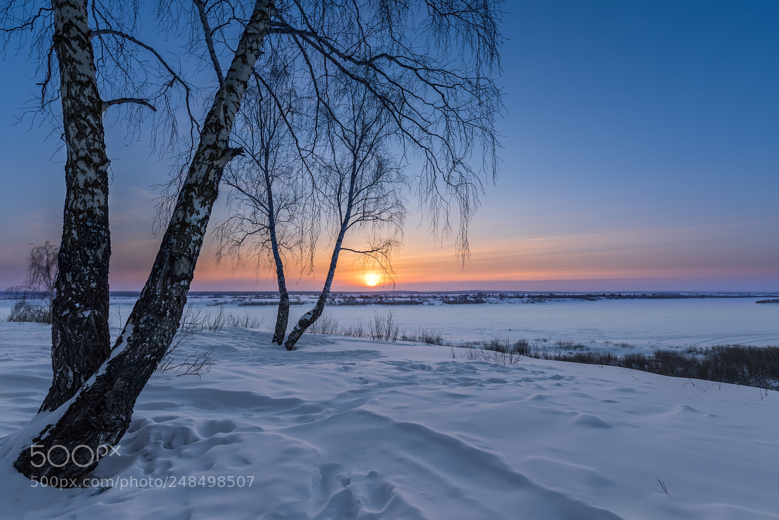 Nikon D810 sample photo. Frosty sunset photography