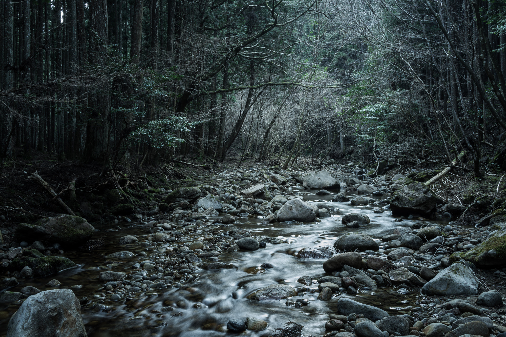 Sony Cyber-shot DSC-RX1R sample photo. Proceed against the flow photography