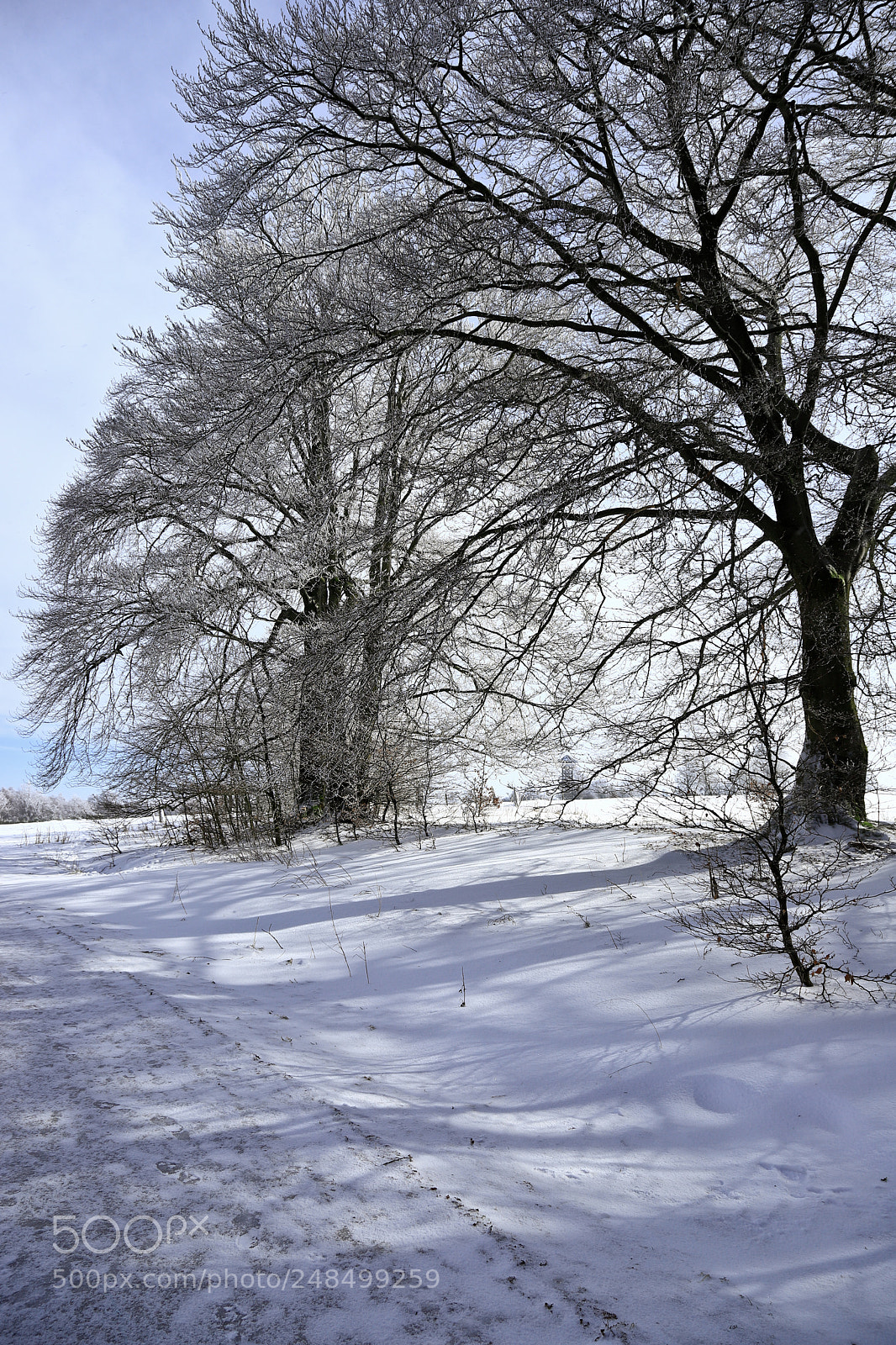 Canon EOS 6D Mark II sample photo. Berinzenne,belgium photography