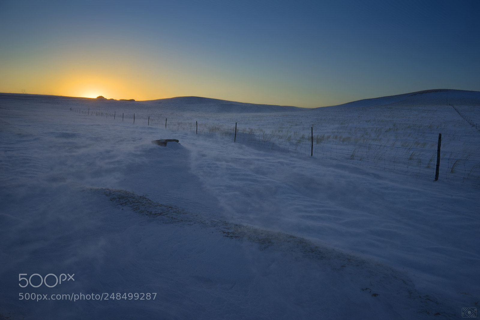 Sony a7 II sample photo. Life in the cold photography