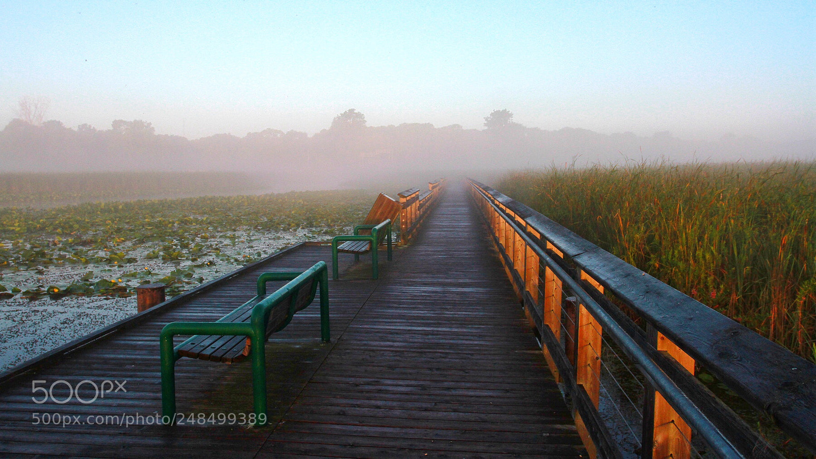 Canon EOS 7D sample photo. Boardwalk at point pelee photography