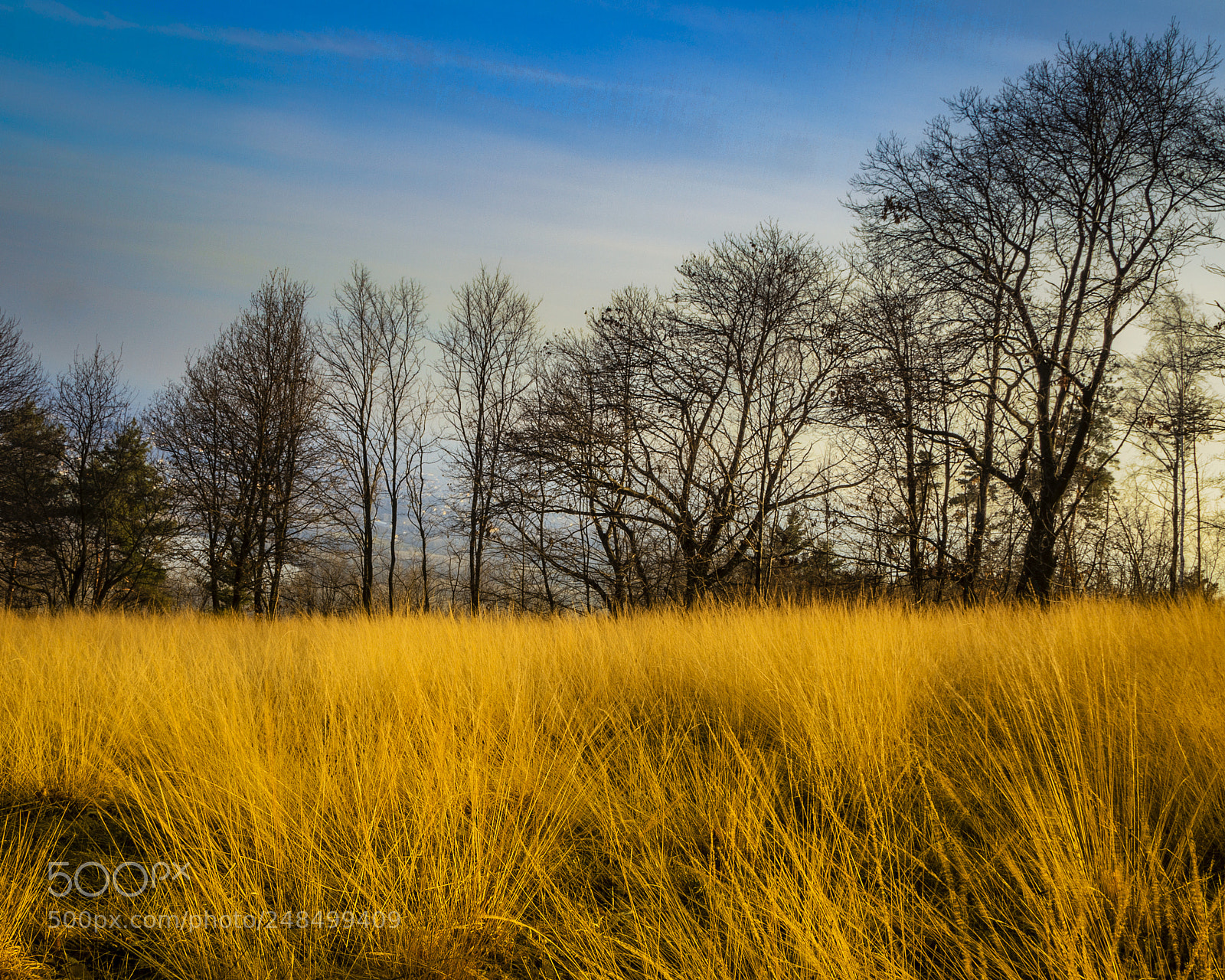 Canon EOS 7D sample photo. Friuli photography