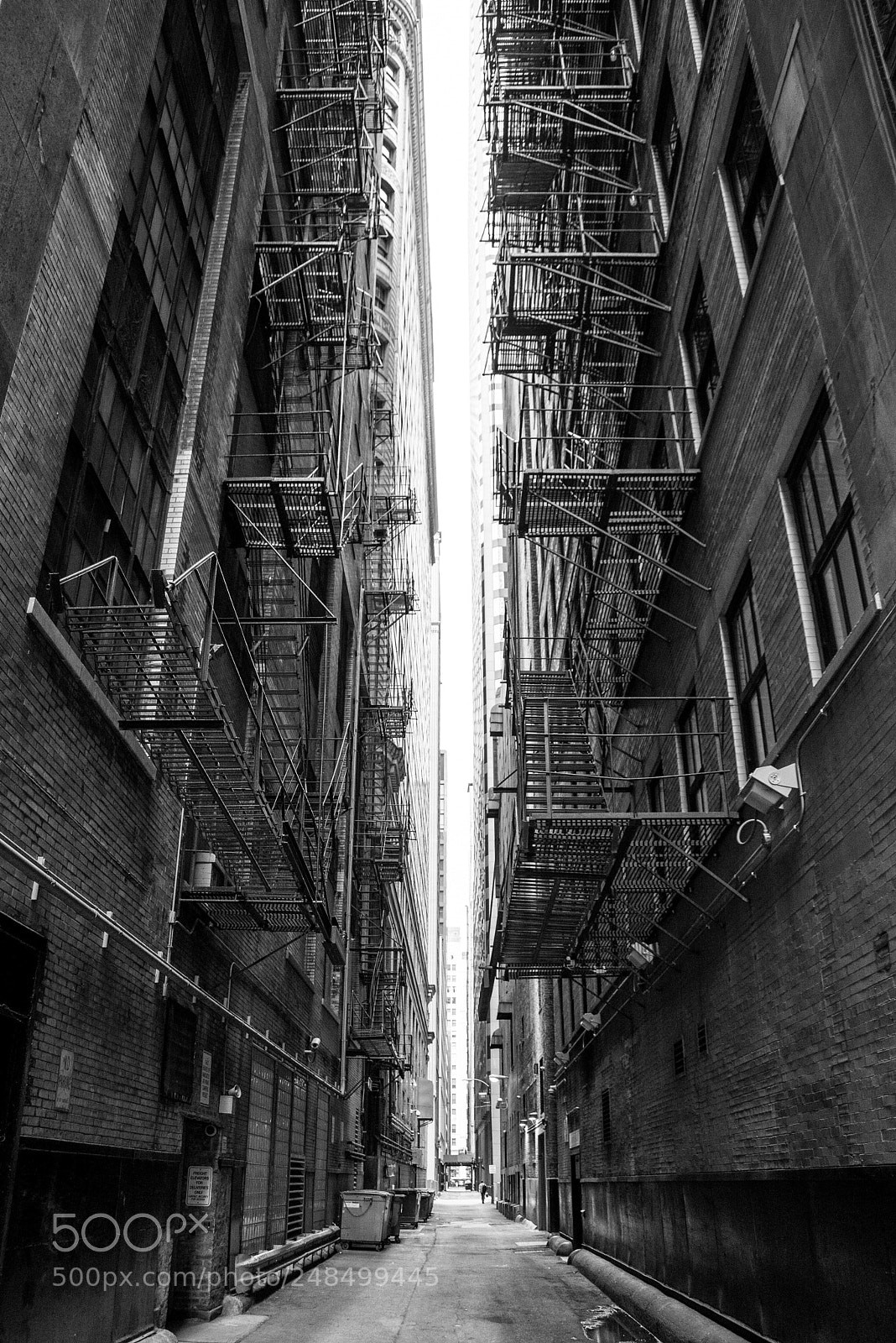 Nikon D610 sample photo. Chicago photography