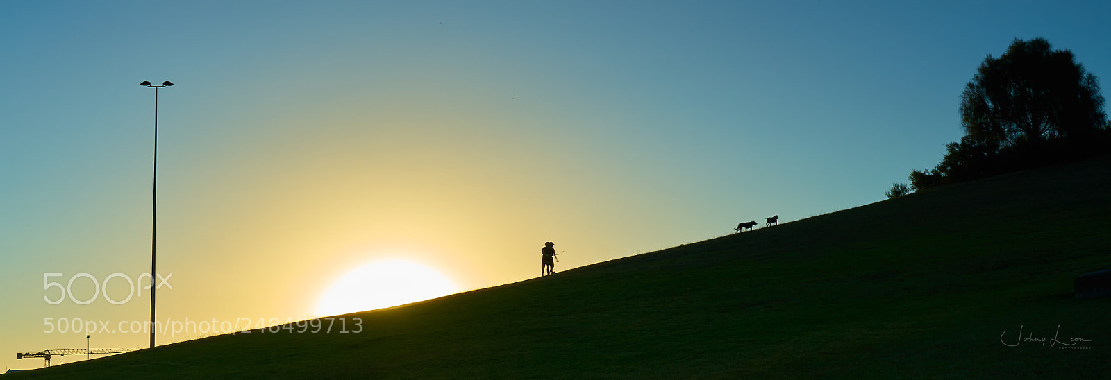 Sony a7R II sample photo. Yarra bend park, melbourne photography