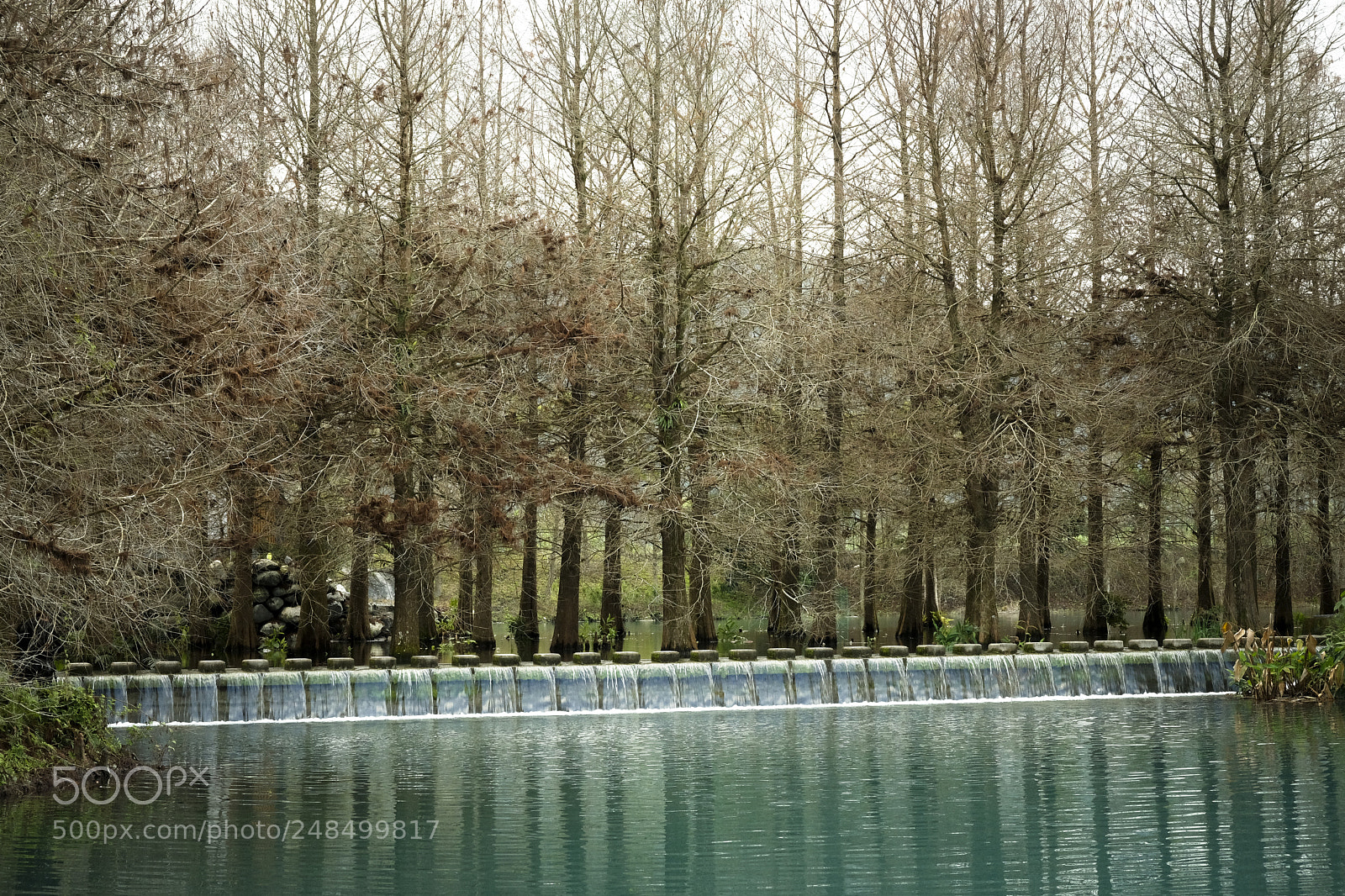 Fujifilm X-T20 sample photo. Untitled photography