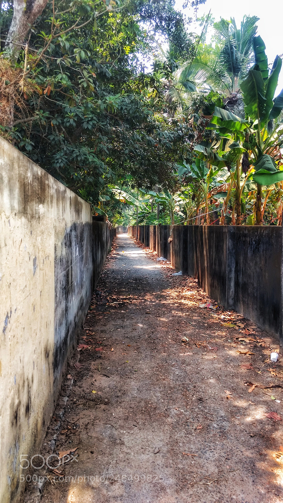 Motorola Moto G (4) sample photo. Street in middle earth photography