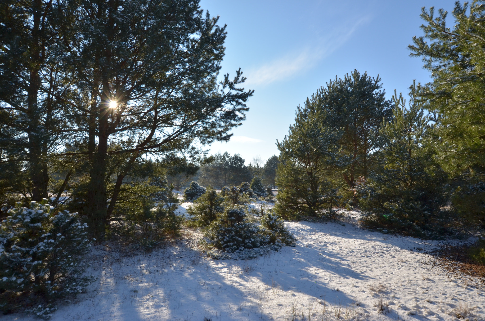 Nikon D5100 + Sigma 10-20mm F3.5 EX DC HSM sample photo. Dsc 5728 winter in brandenburg photography