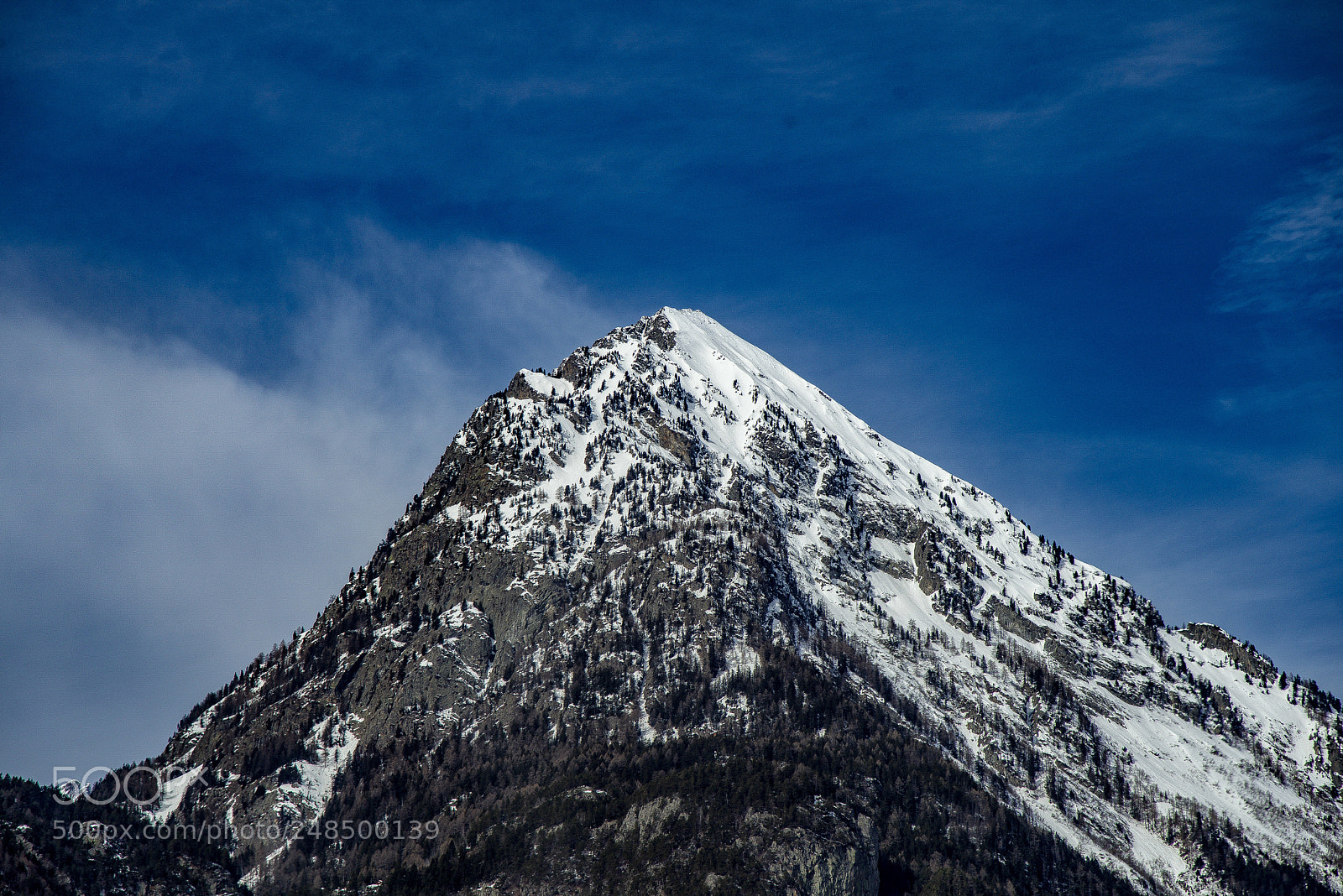 Nikon D810 sample photo. Untitled photography