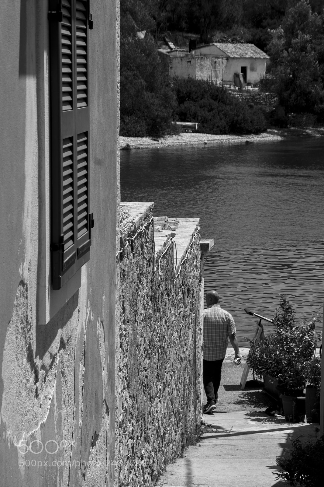 Nikon D3100 sample photo. Walk it off photography