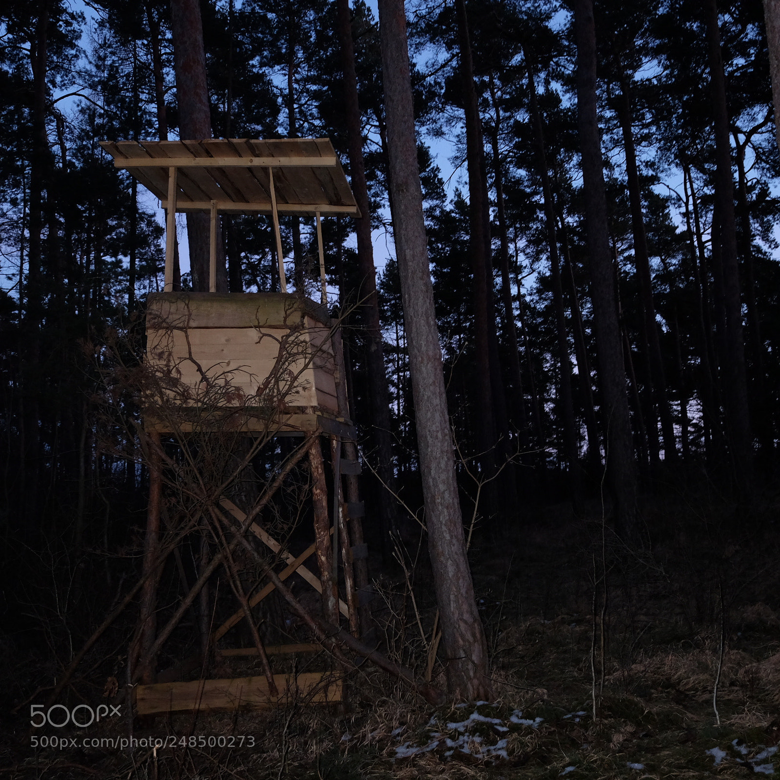 Fujifilm X70 sample photo. Untitled photography
