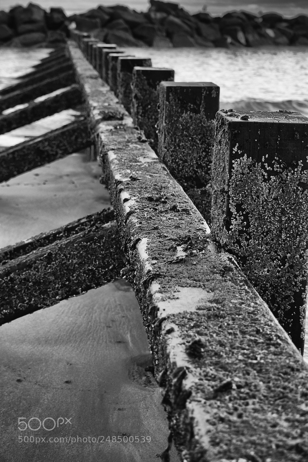 Canon EOS 650D (EOS Rebel T4i / EOS Kiss X6i) sample photo. Leading to the sea photography