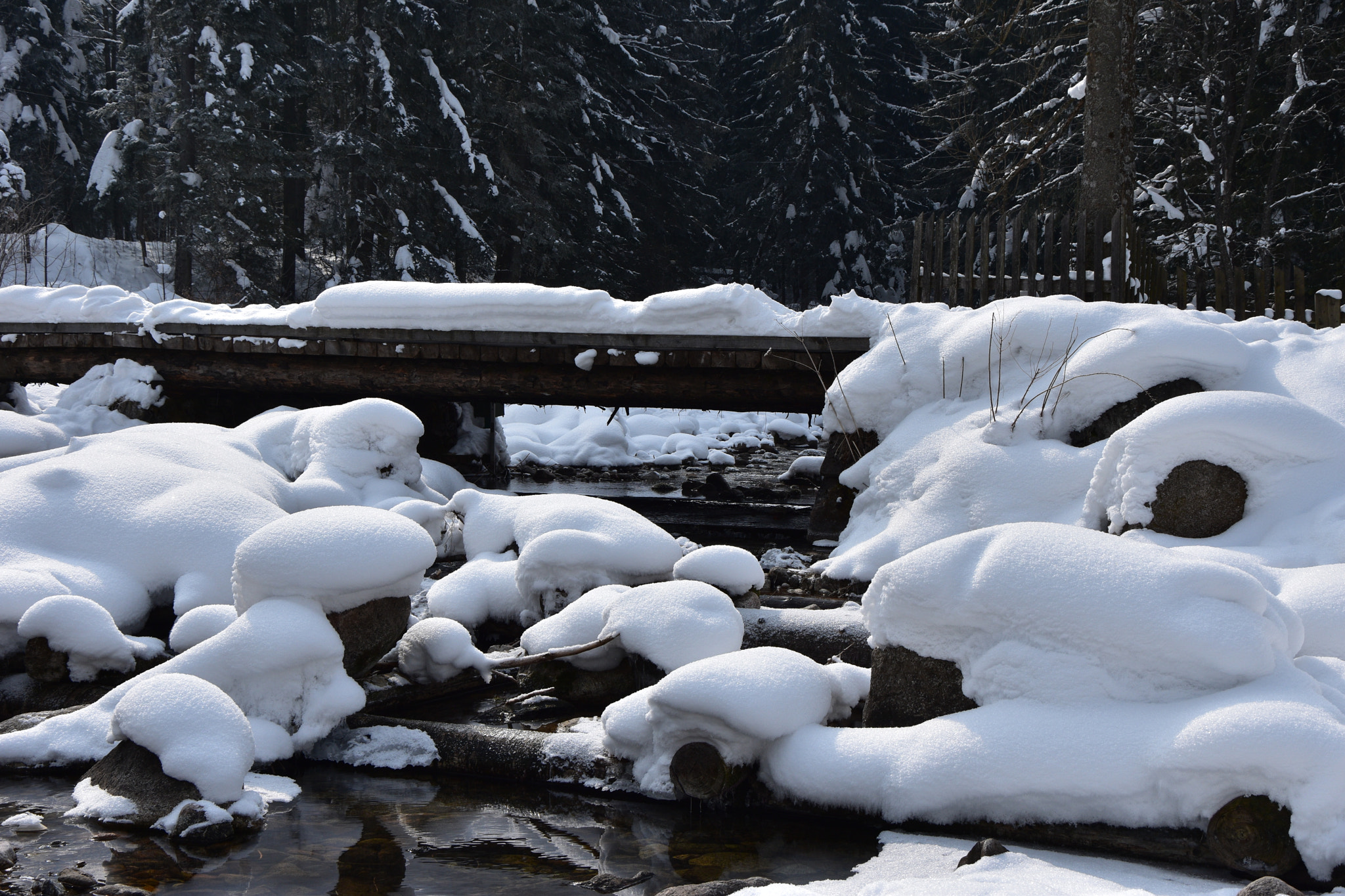 Nikon D5500 sample photo. Mountain stream photography