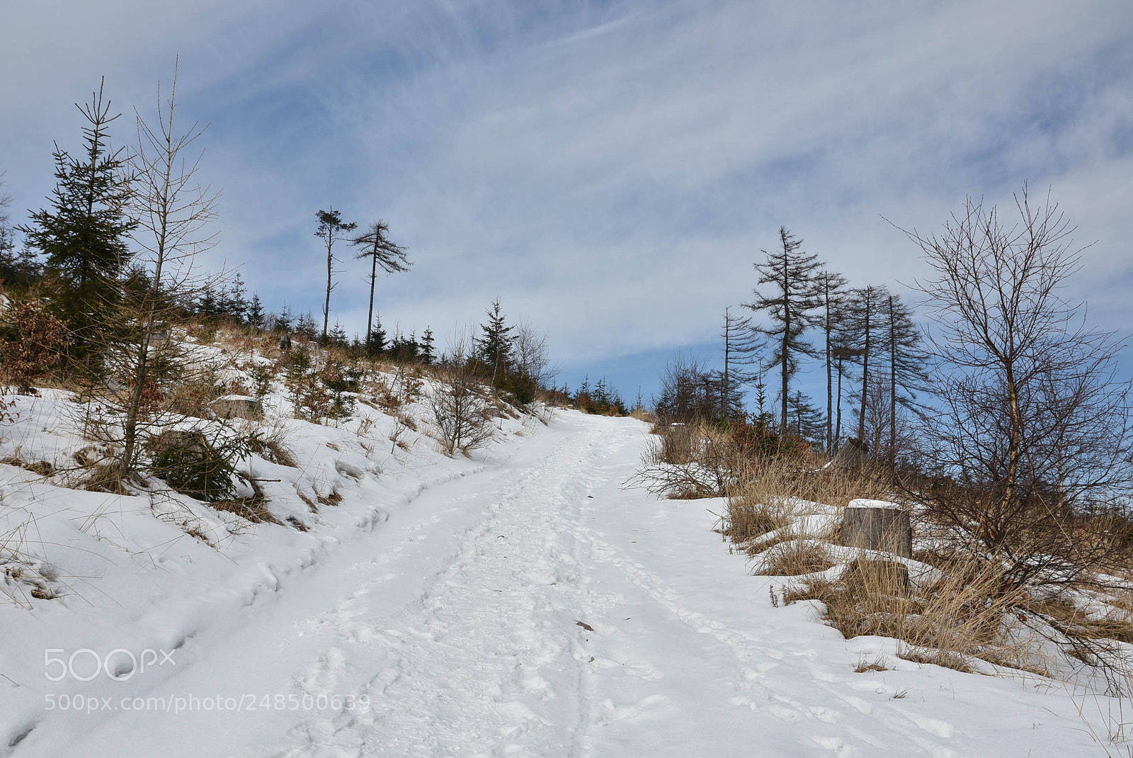 Nikon D7200 sample photo. Untitled photography