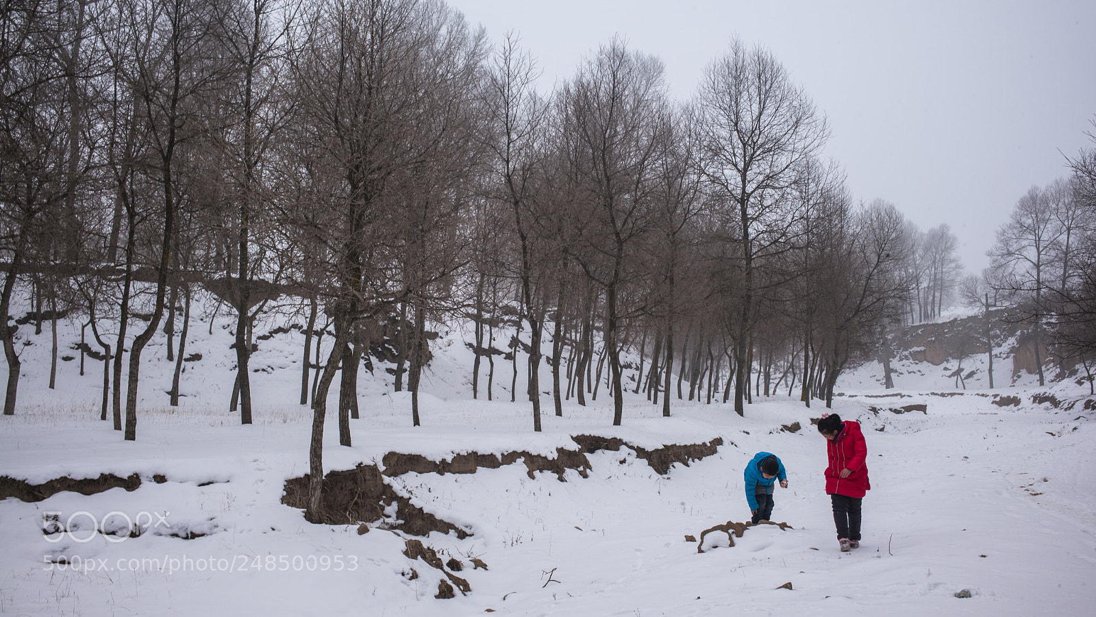 Leica M (Typ 240) sample photo. Play with snow photography