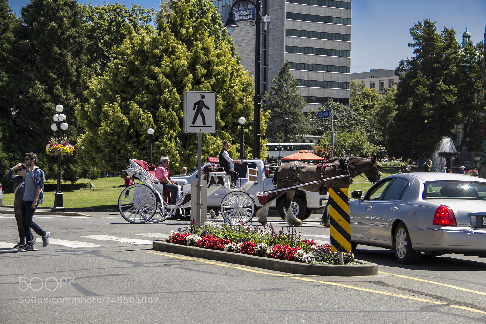 Canon EOS 60D sample photo. Parlamento de victoria photography