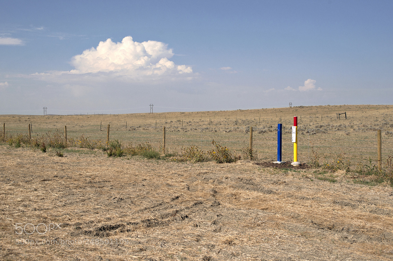 Nikon D800 sample photo. Wyoming primaries photography