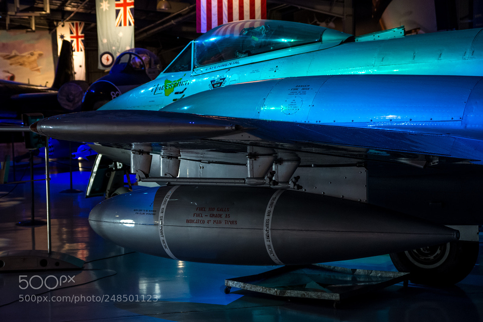 Nikon D7200 sample photo. Under the wing photography