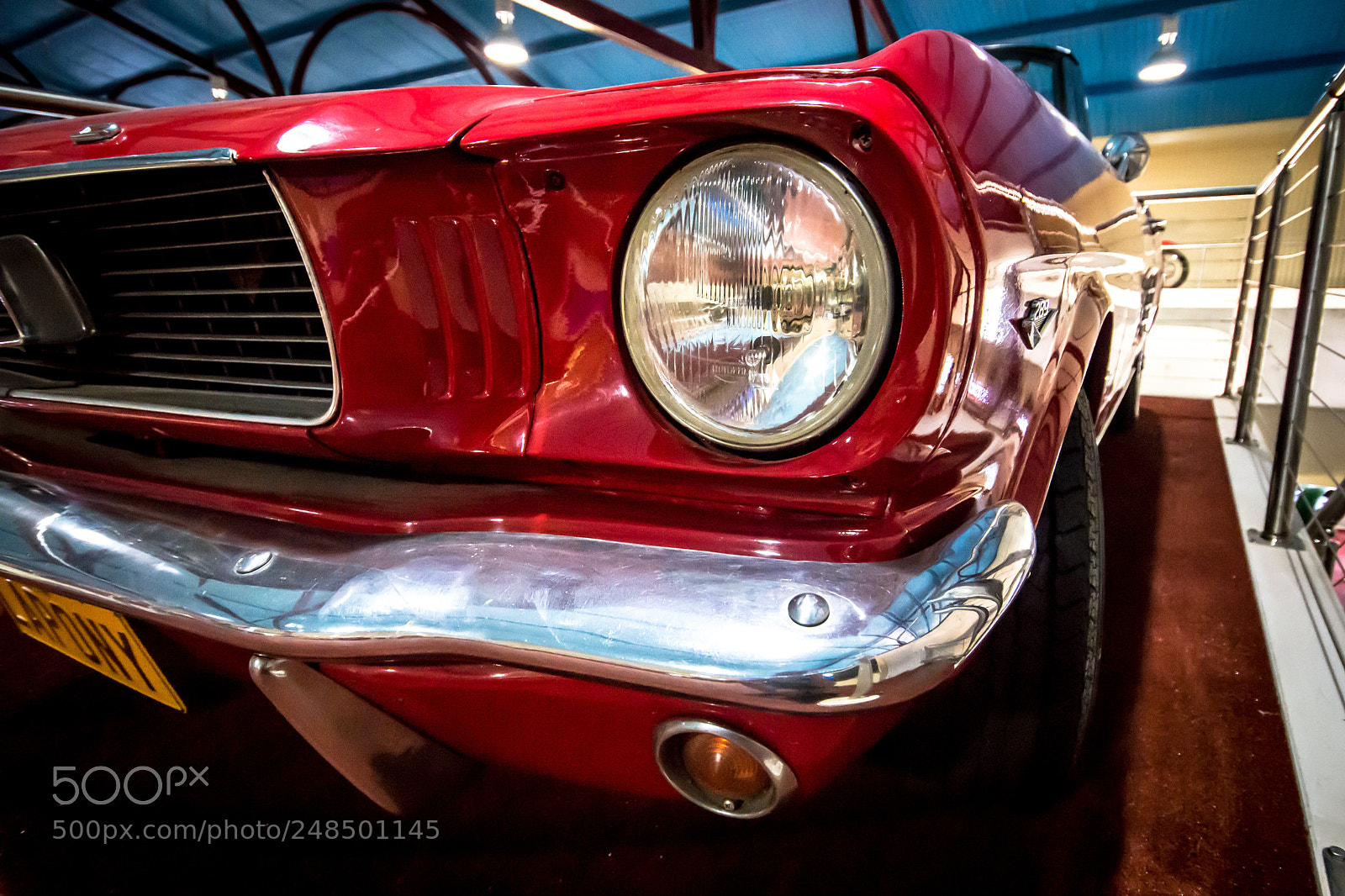 Nikon D7200 sample photo. Eye of the mustang photography