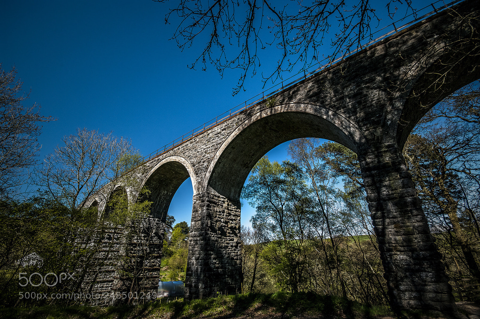 Pentax K20D sample photo. Kinclair viaduct, pinmore, scotland. photography