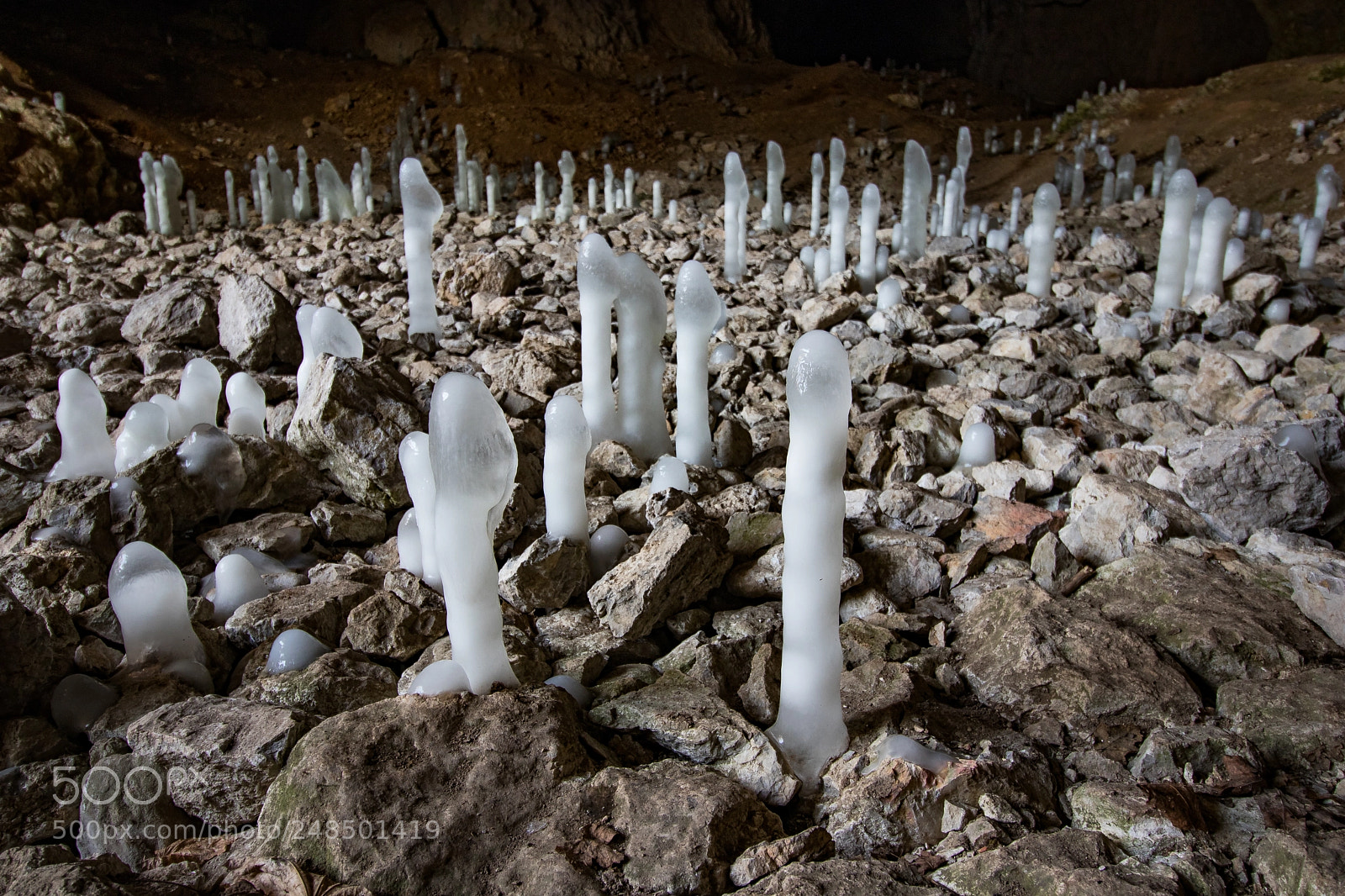Canon EOS 80D sample photo. Ice dicks (original shot) photography